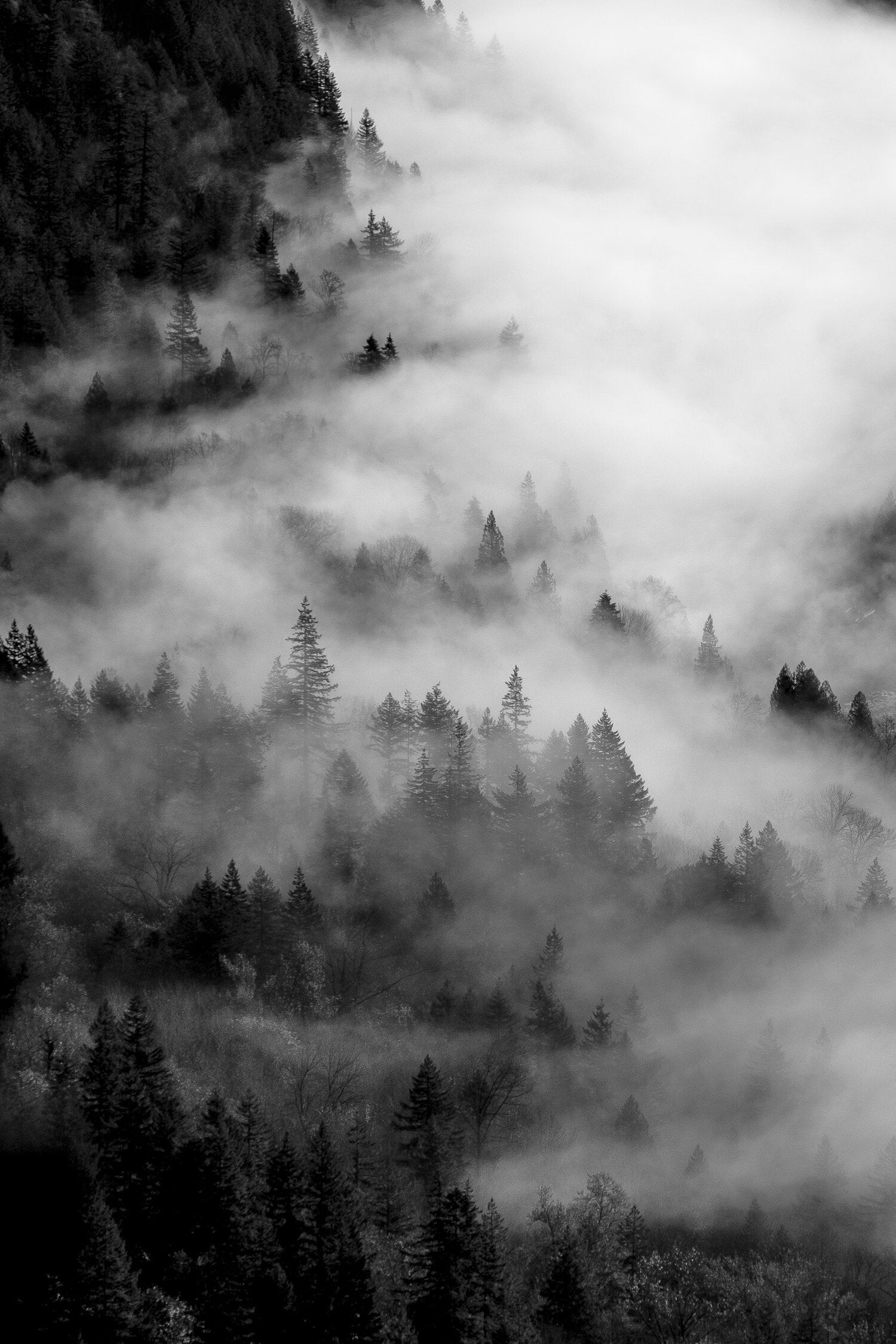 Sustainability & Stewardship: Our Commitment to Our Planet