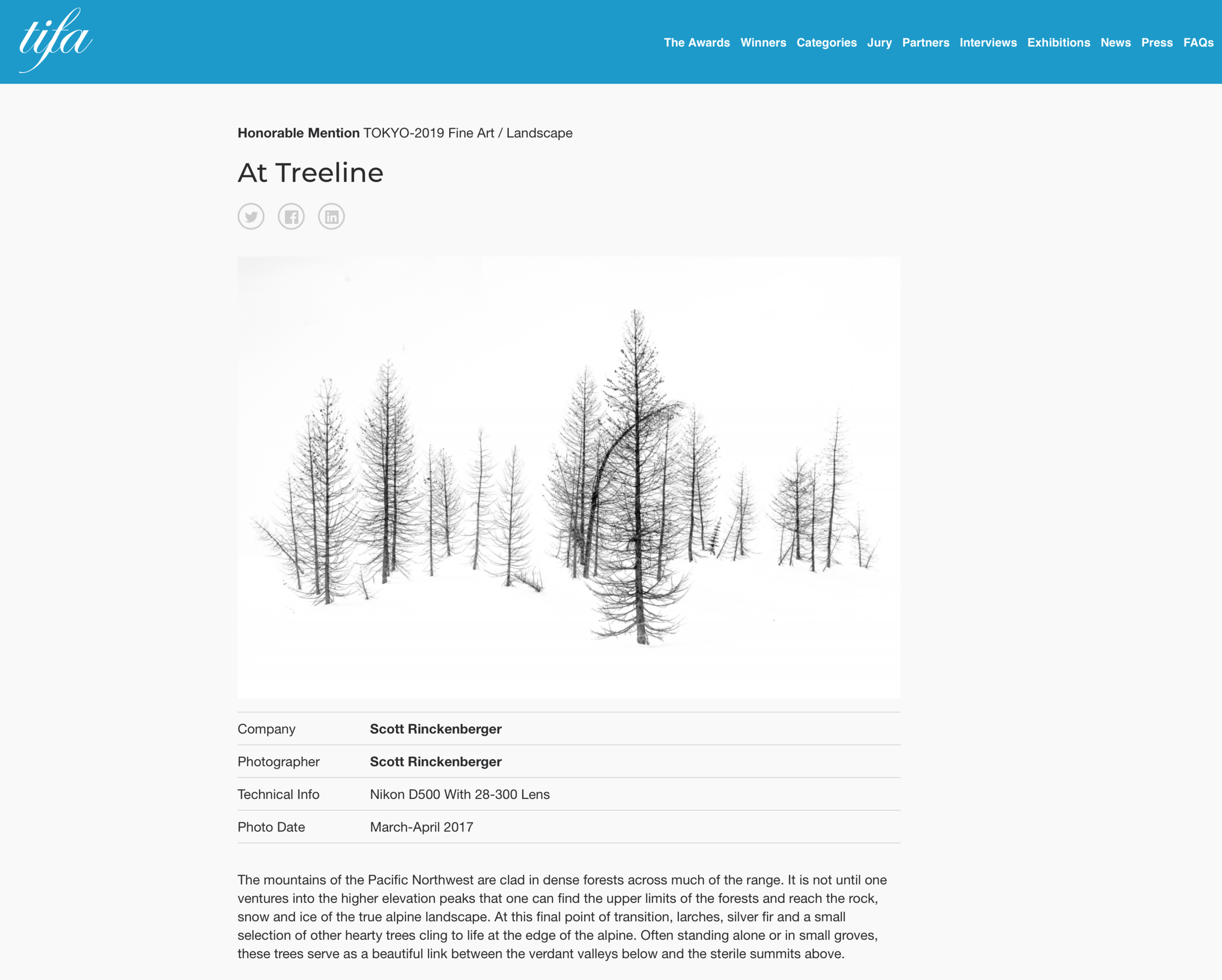 Four Entries Win Honorable Mentions in Tokyo International Photo Awards