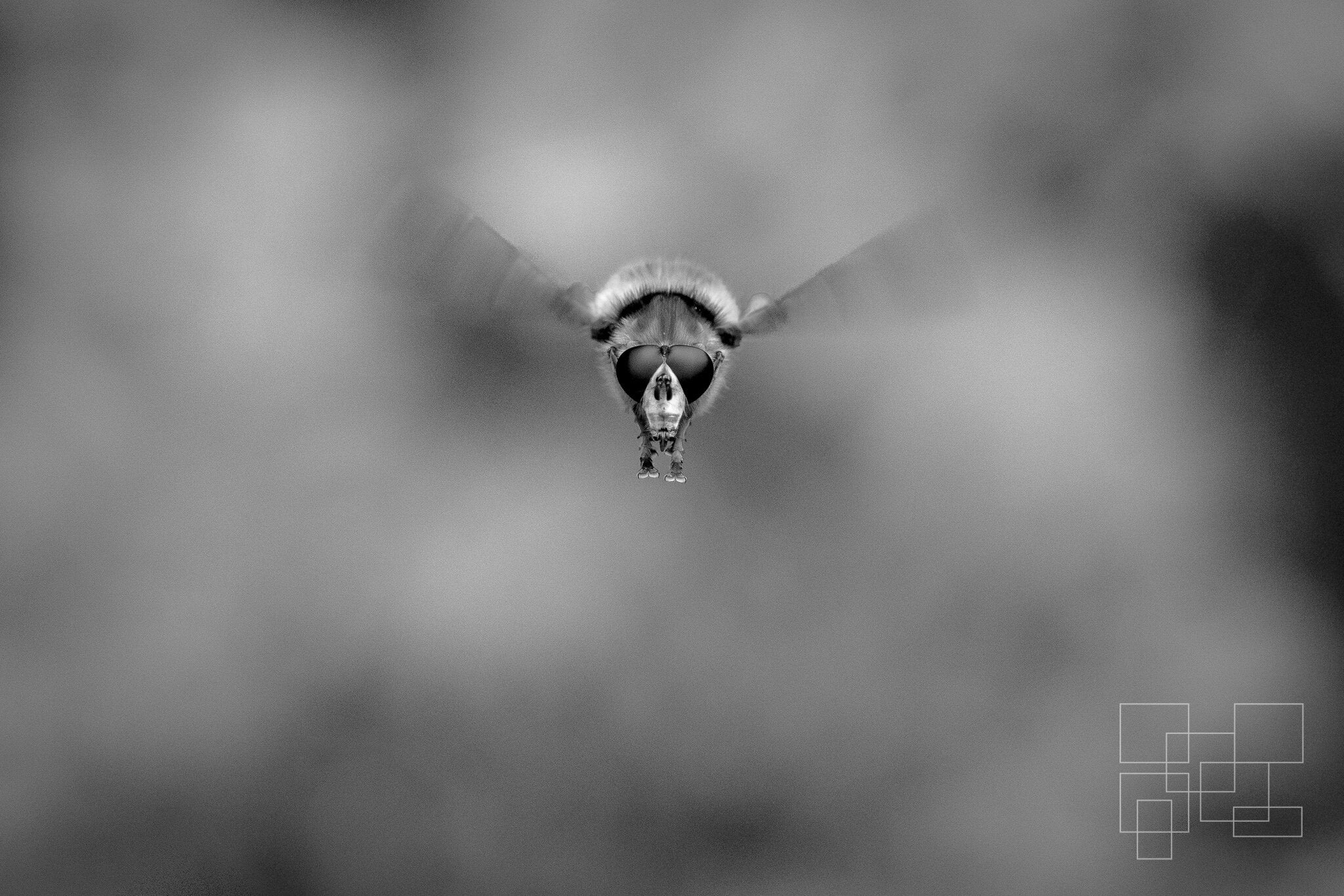 Earth Day Has Been Cancelled