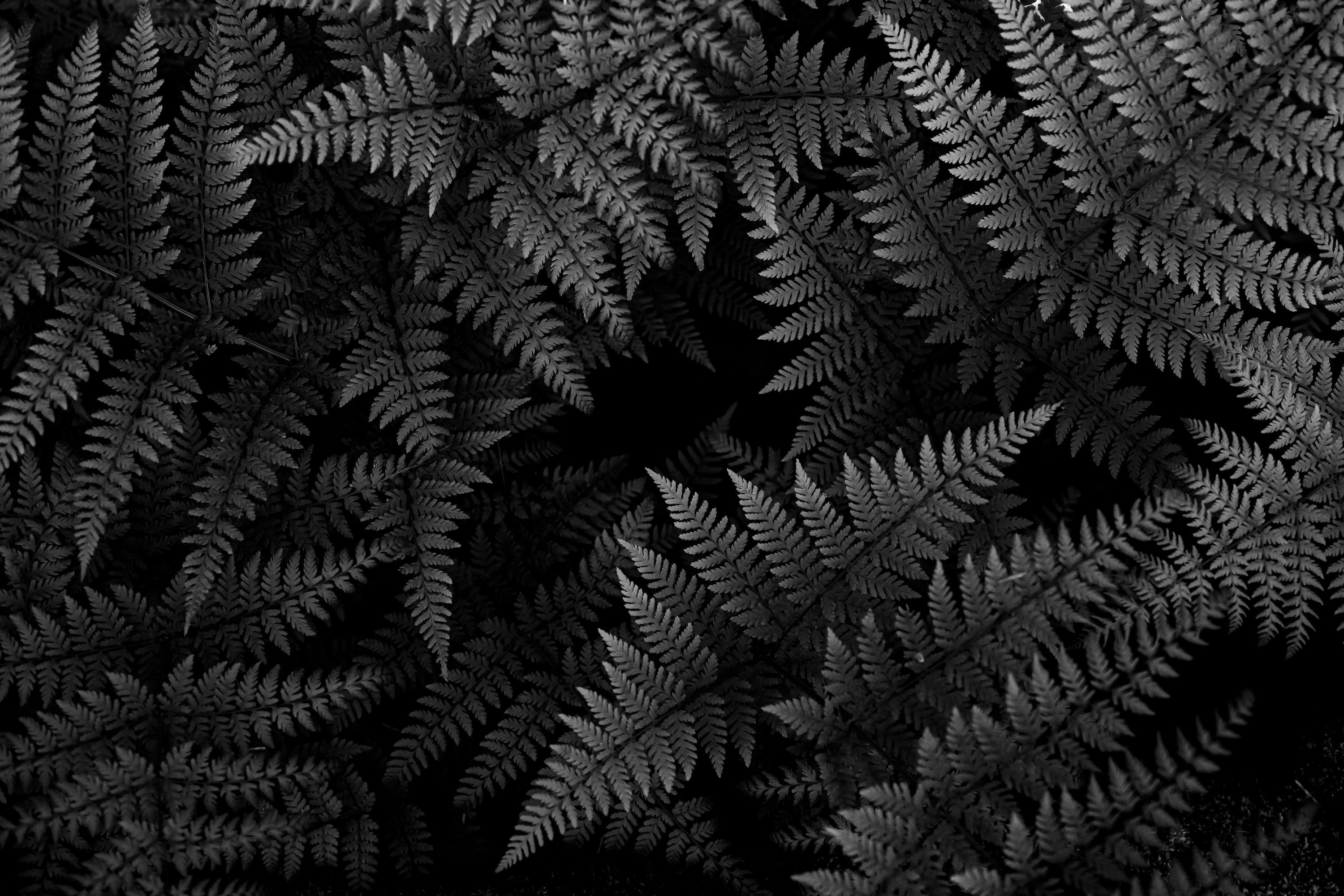 Terrestrial Tapestries