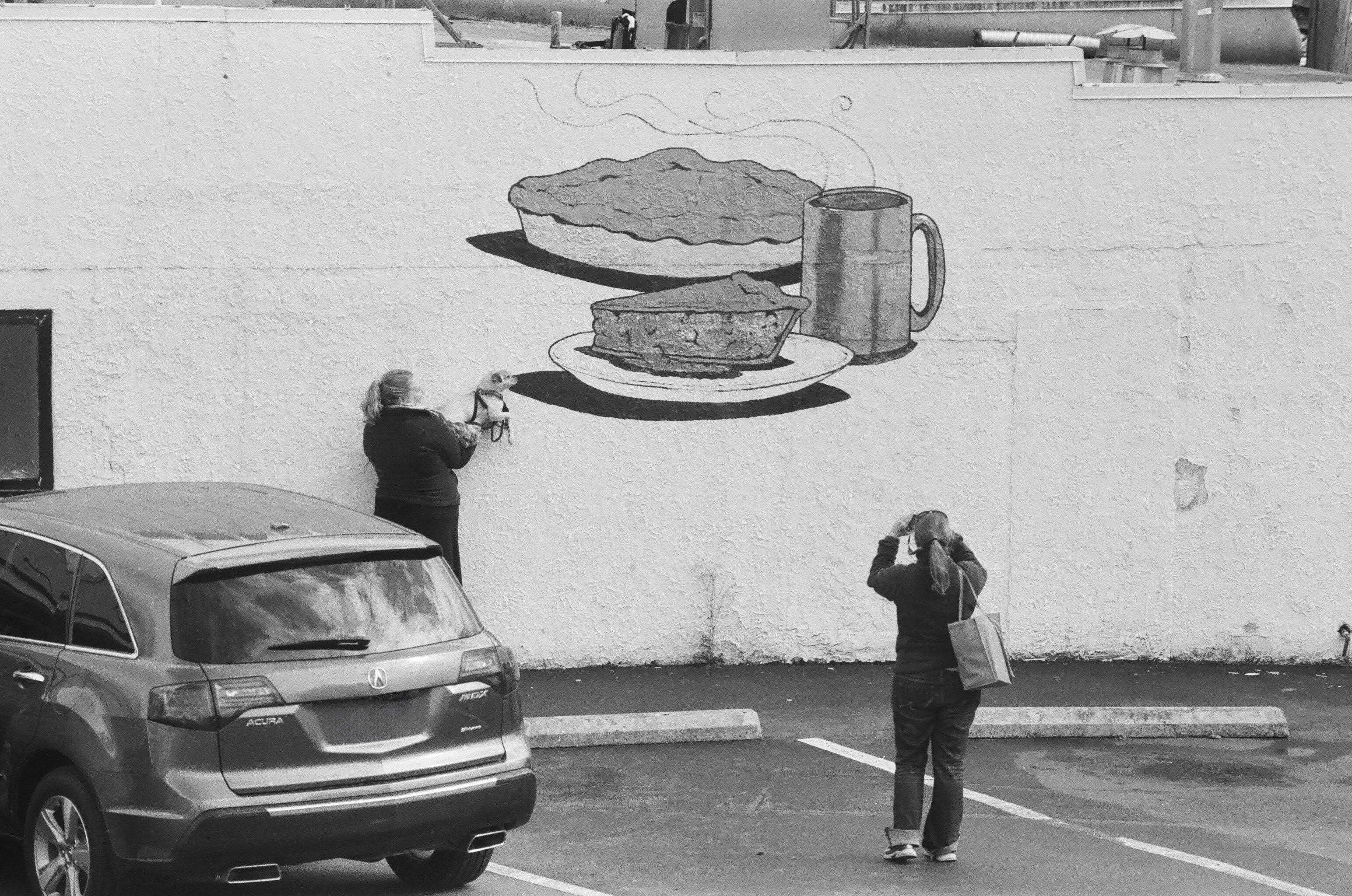 Twin Peeks Framed Prints