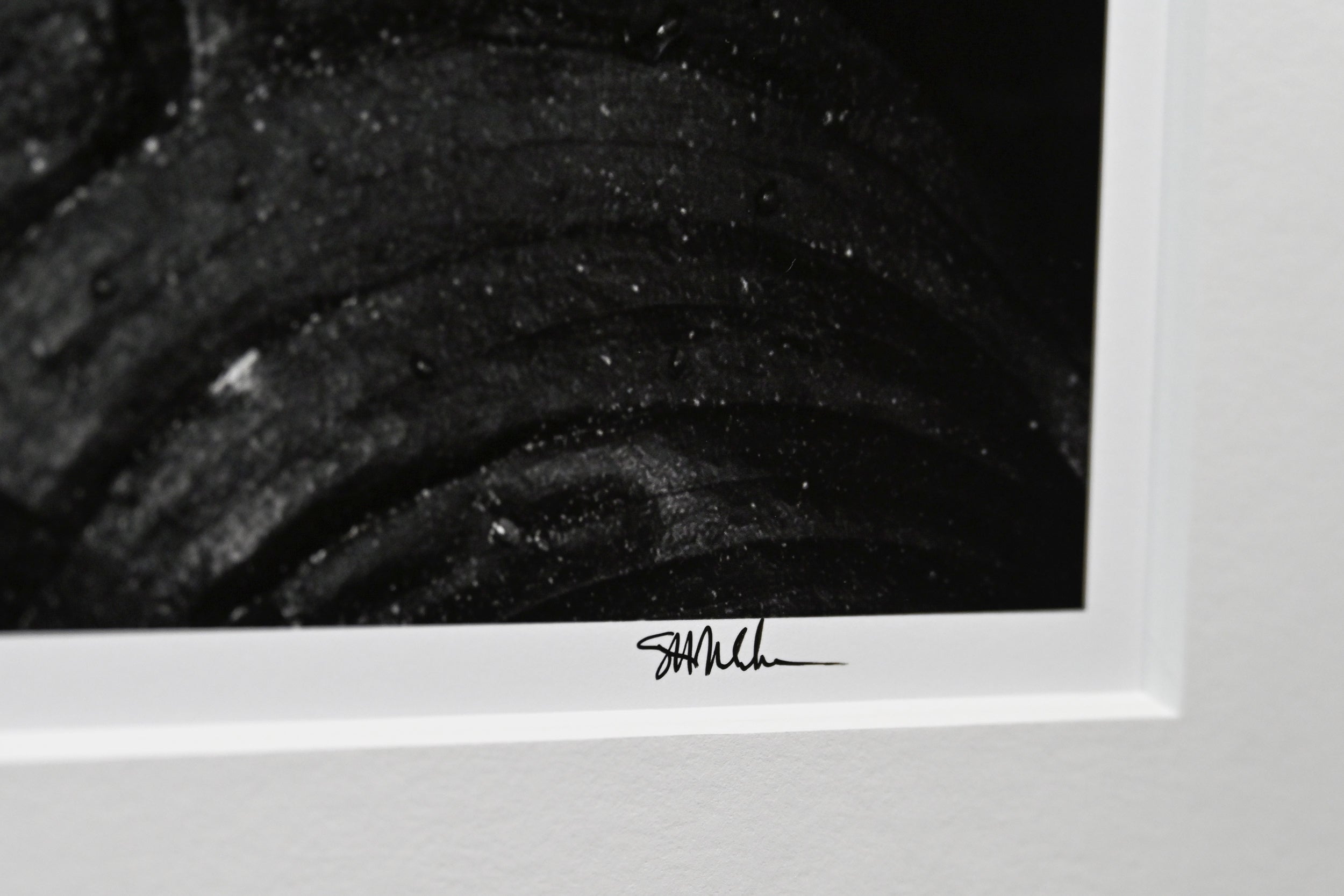 Raindrops on False Lily of the Valley 24x36 Limited Print with Gallery Framing - Gallery Pickup Only