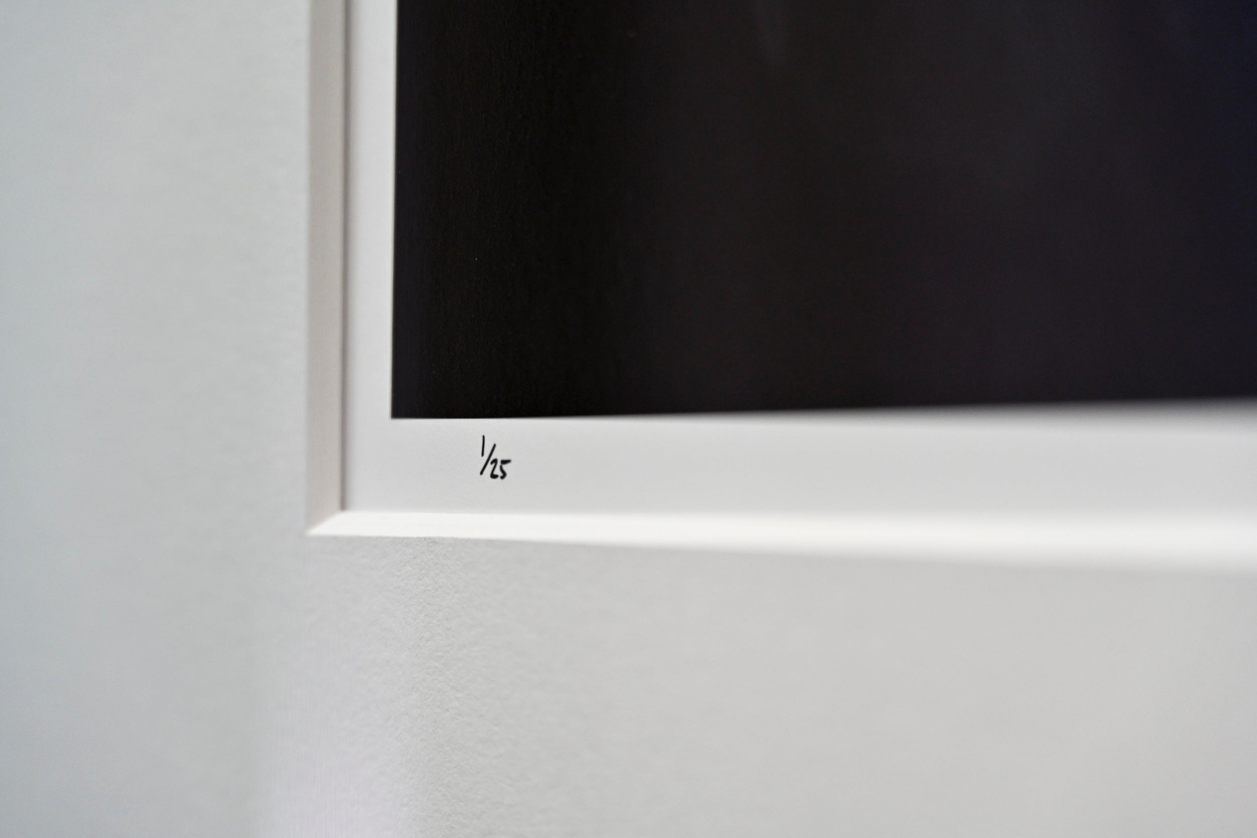 Unfurling Western Sword Fern Fronds: 32x48 Limited Edition Framed Print