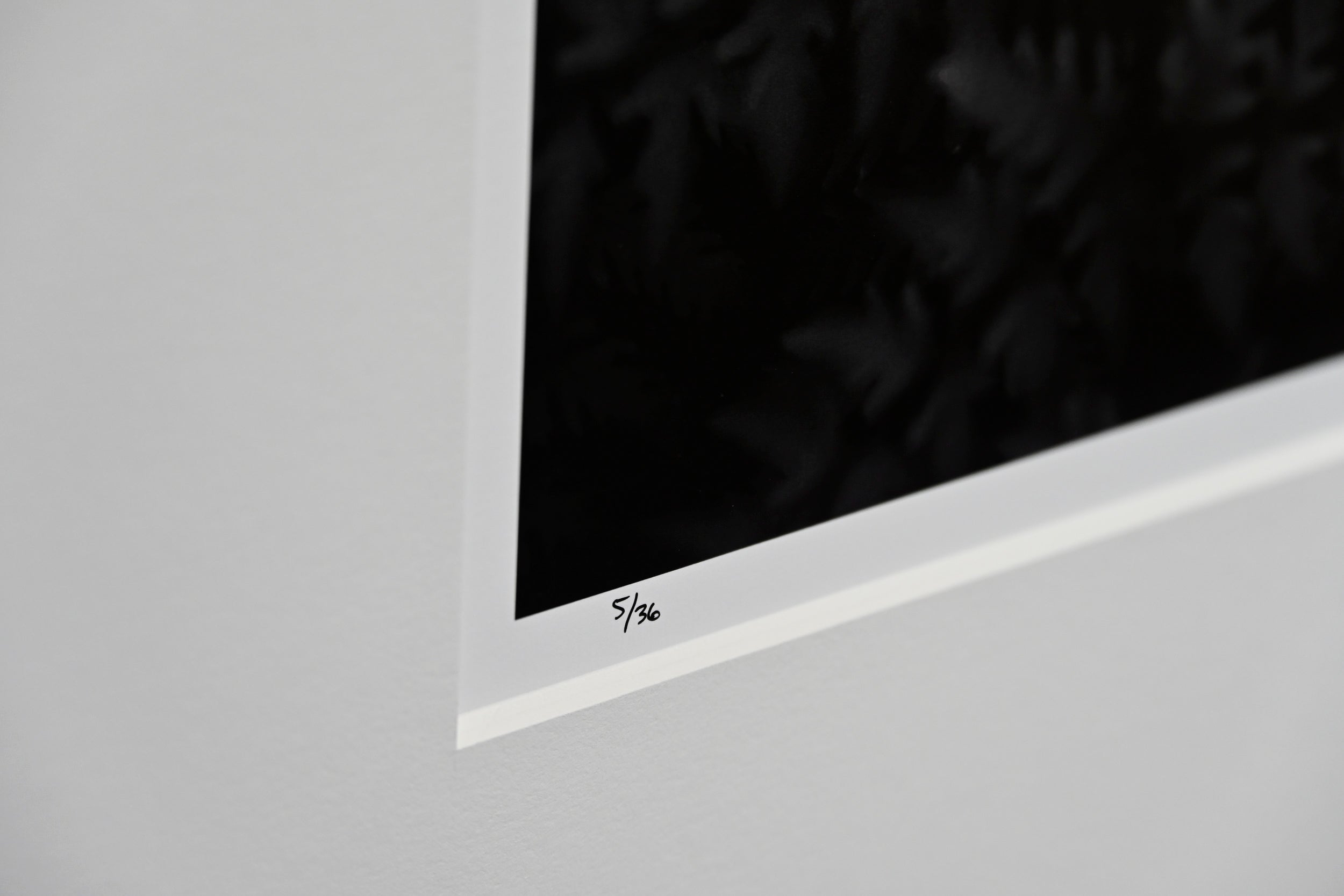 Wood Fern Gradations: 32x48 Limited Edition Framed Print