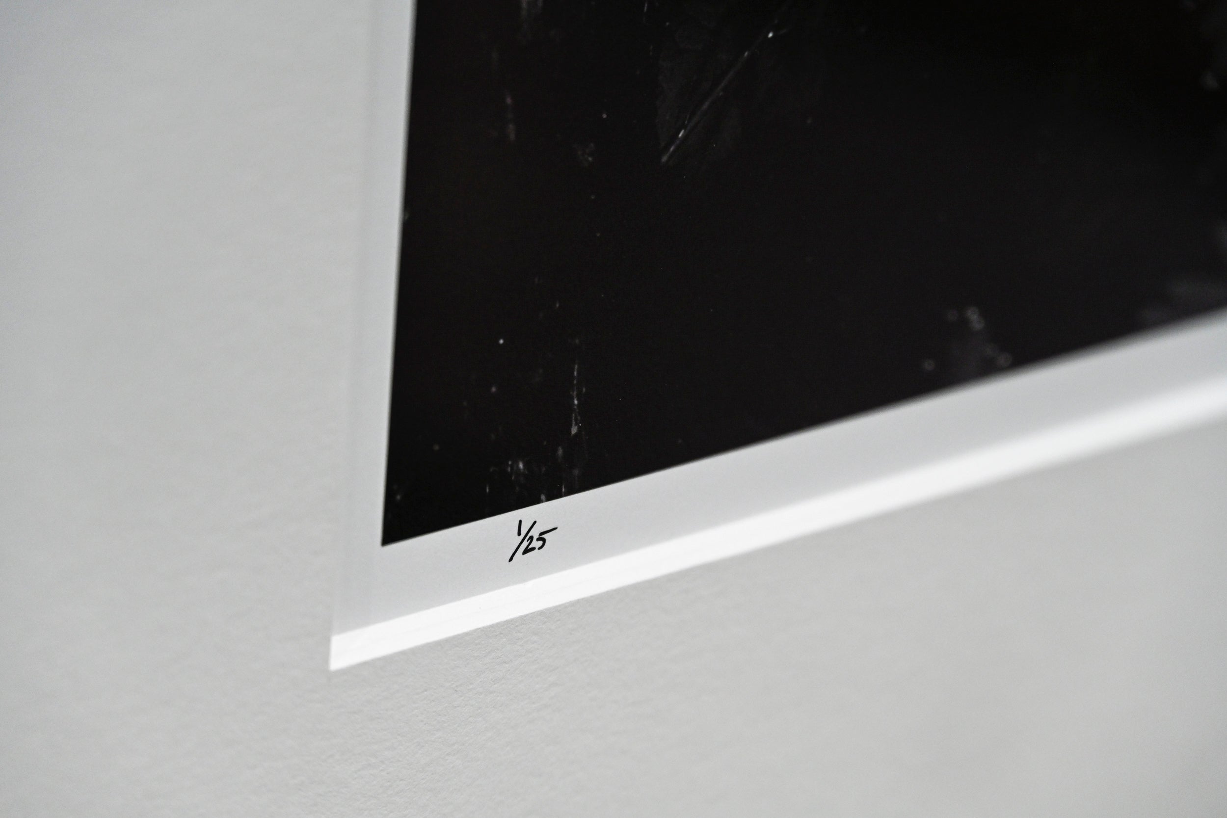 Diamond-Tipped Pacific Bleeding Hearts 32x48 Limited Print with Gallery Framing - Gallery Pickup Only