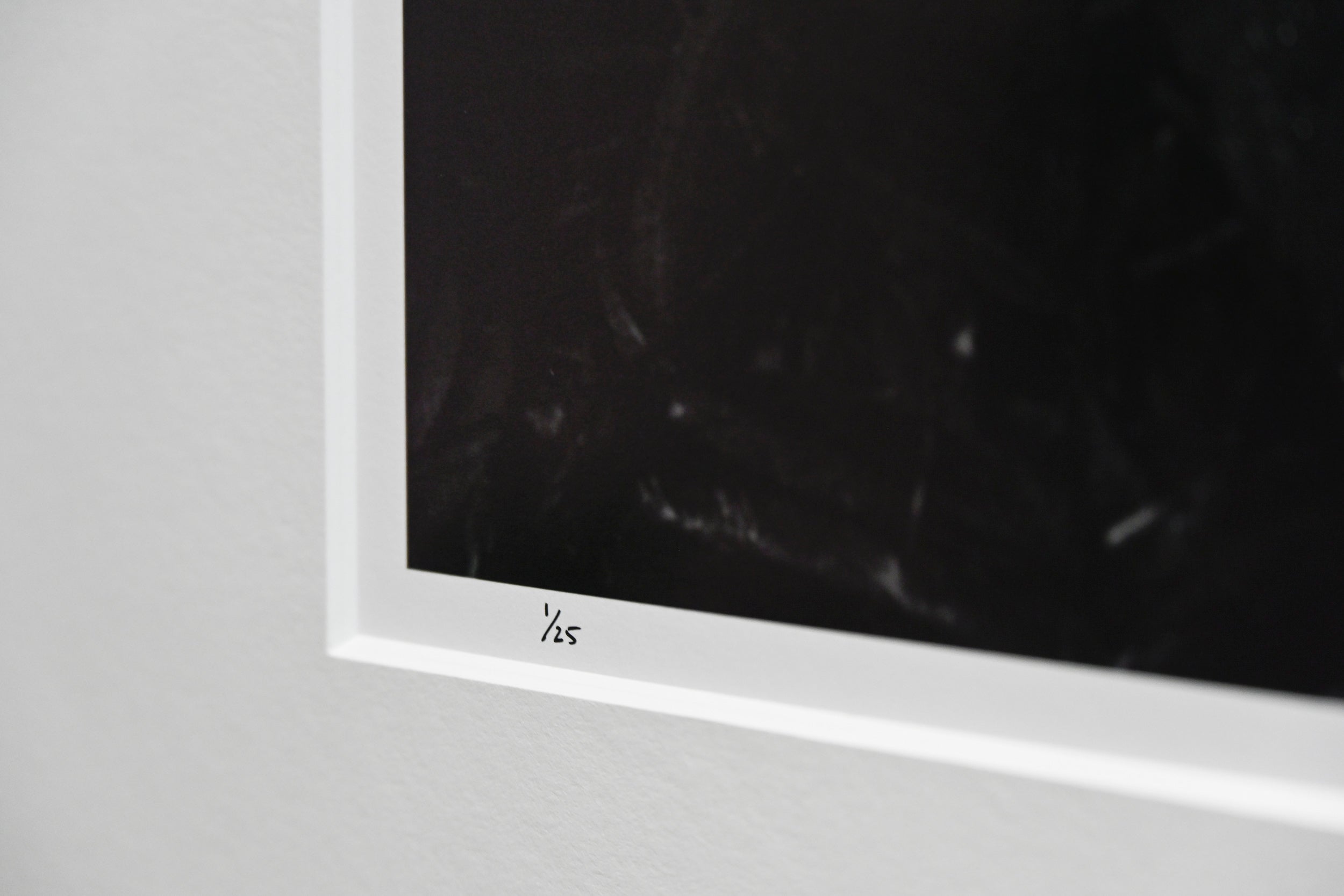 Trillium in Bleeding Hearts 24x36 Limited Print with Gallery Framing - Gallery Pickup Only