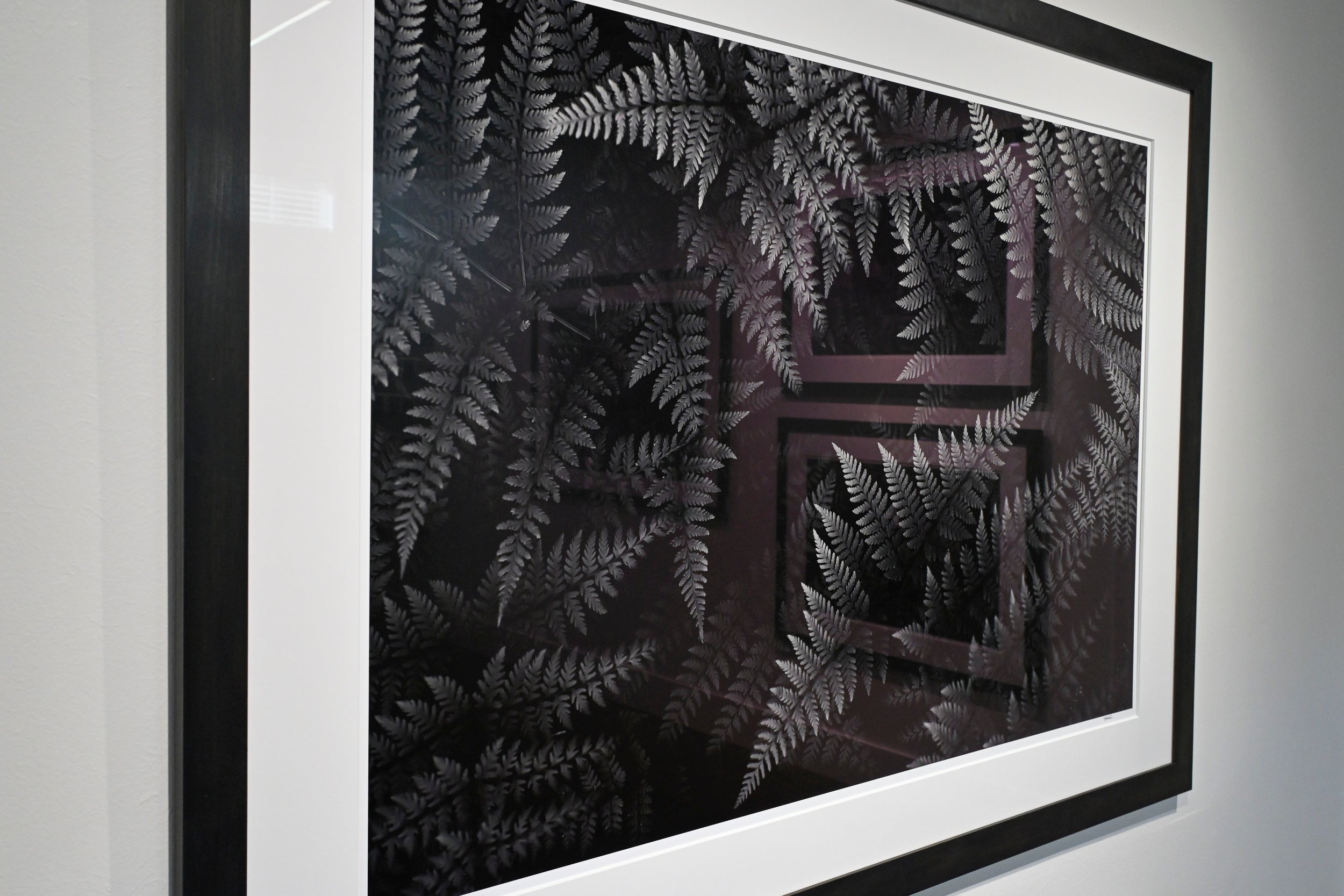 Wood Fern Gradations: 32x48 Limited Edition Framed Print