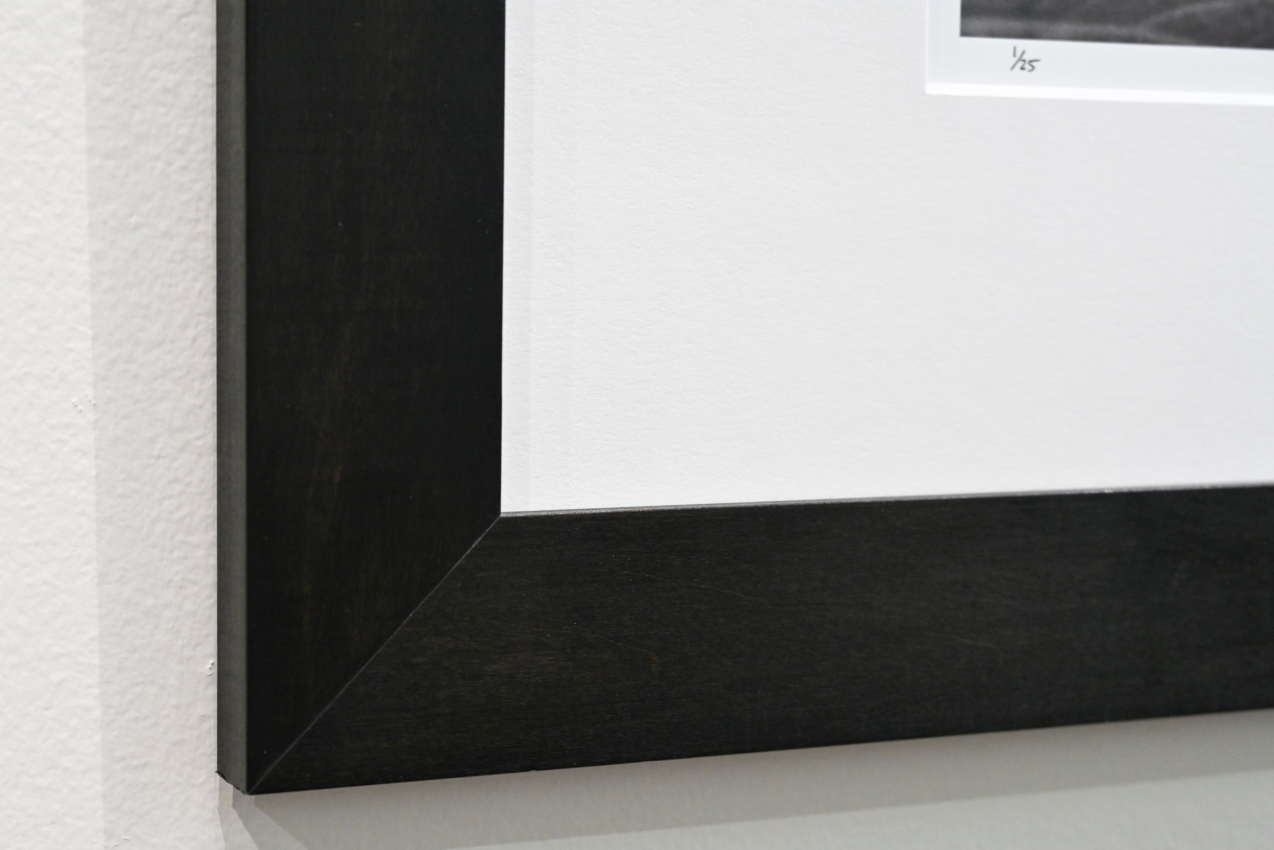 Immaculate Droplets on Pacific Waterleaf 32x48 Limited Print with Gallery Framing - Gallery Pickup Only