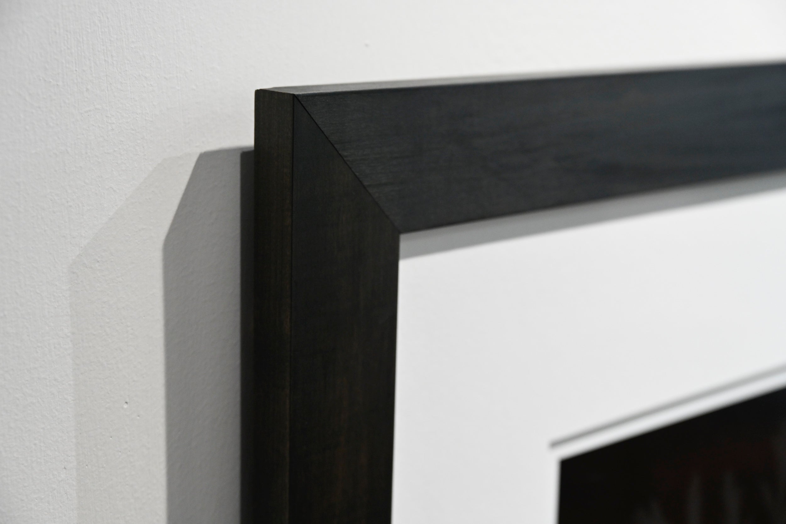 Trillium in Bleeding Hearts: 24x36 Limited Edition Framed Print