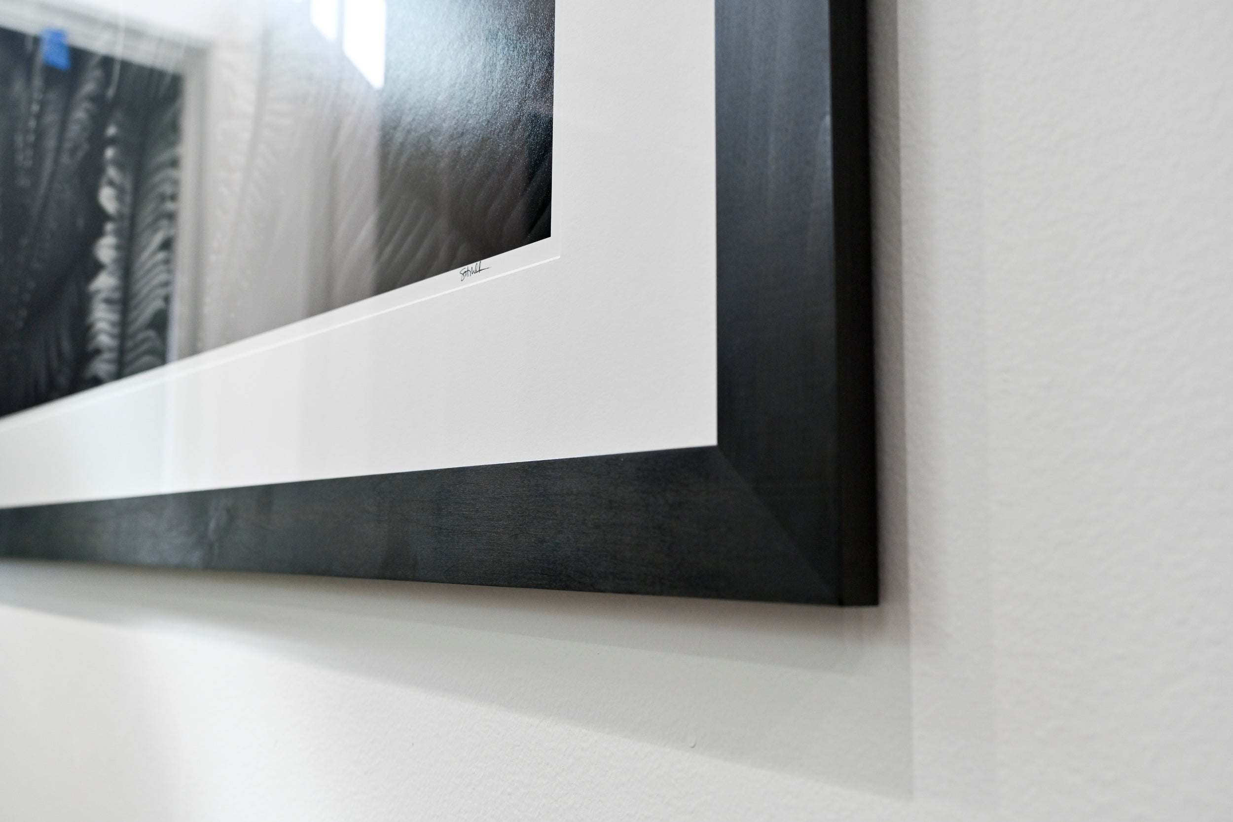 Unfurling Western Sword Fern Fronds 32x48 Limited Print with Gallery Framing - Gallery Pickup Only