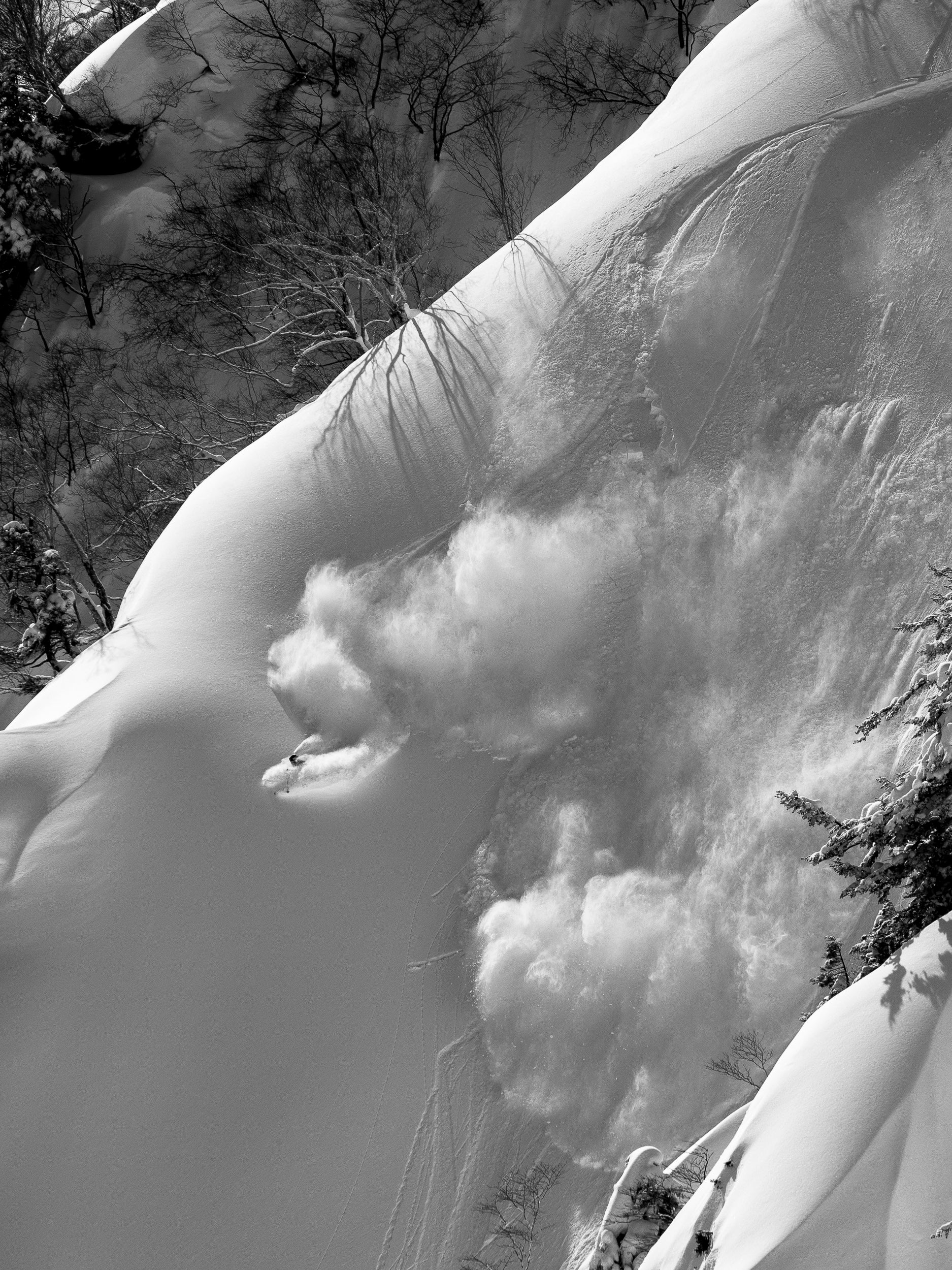 Deep Powder on Goryu Spine: Limited Edition Framed Print