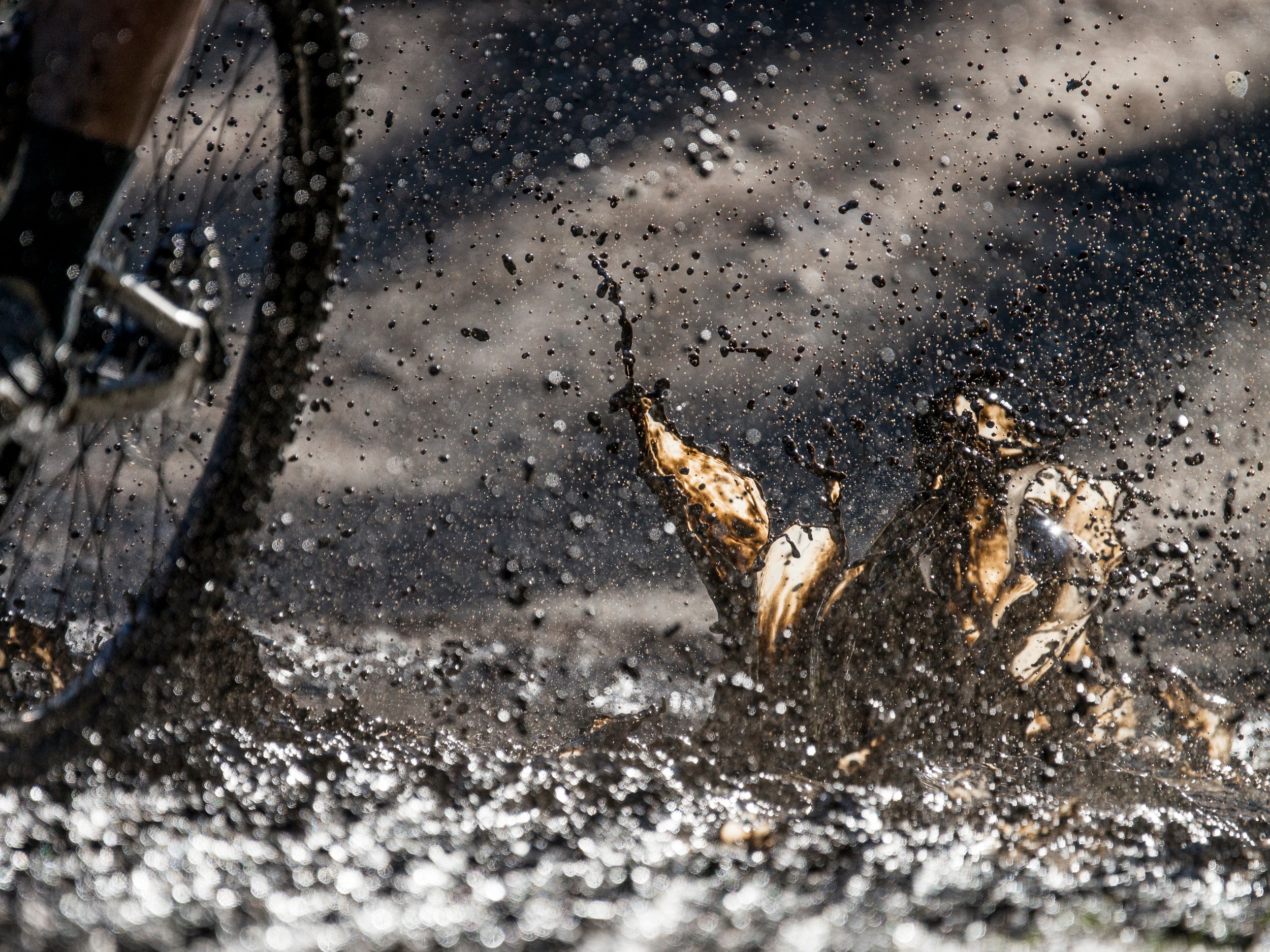 Frozen Splash: Limited Edition Print