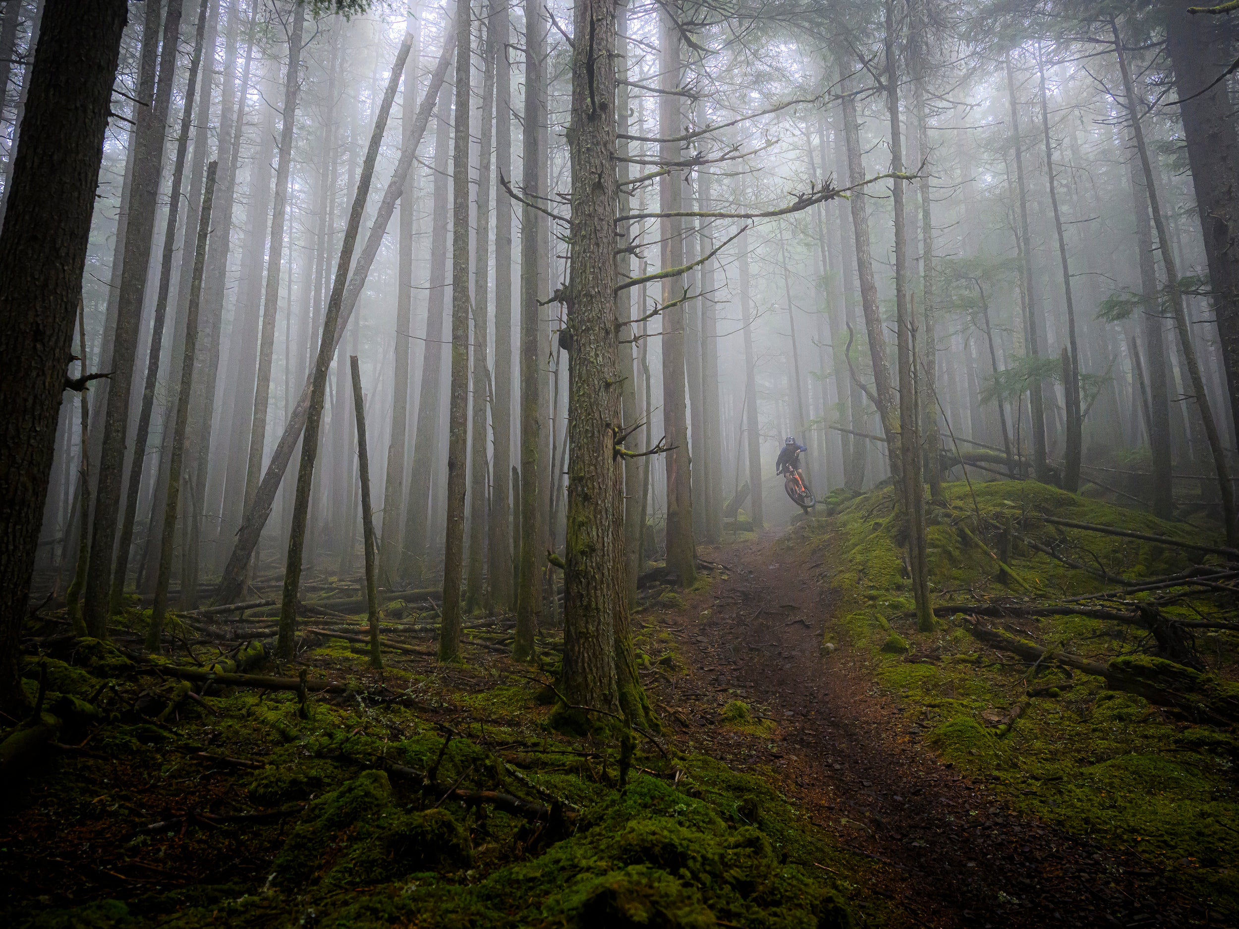 Misty Mount Constitution Side Hits: 15x20 Limited Print