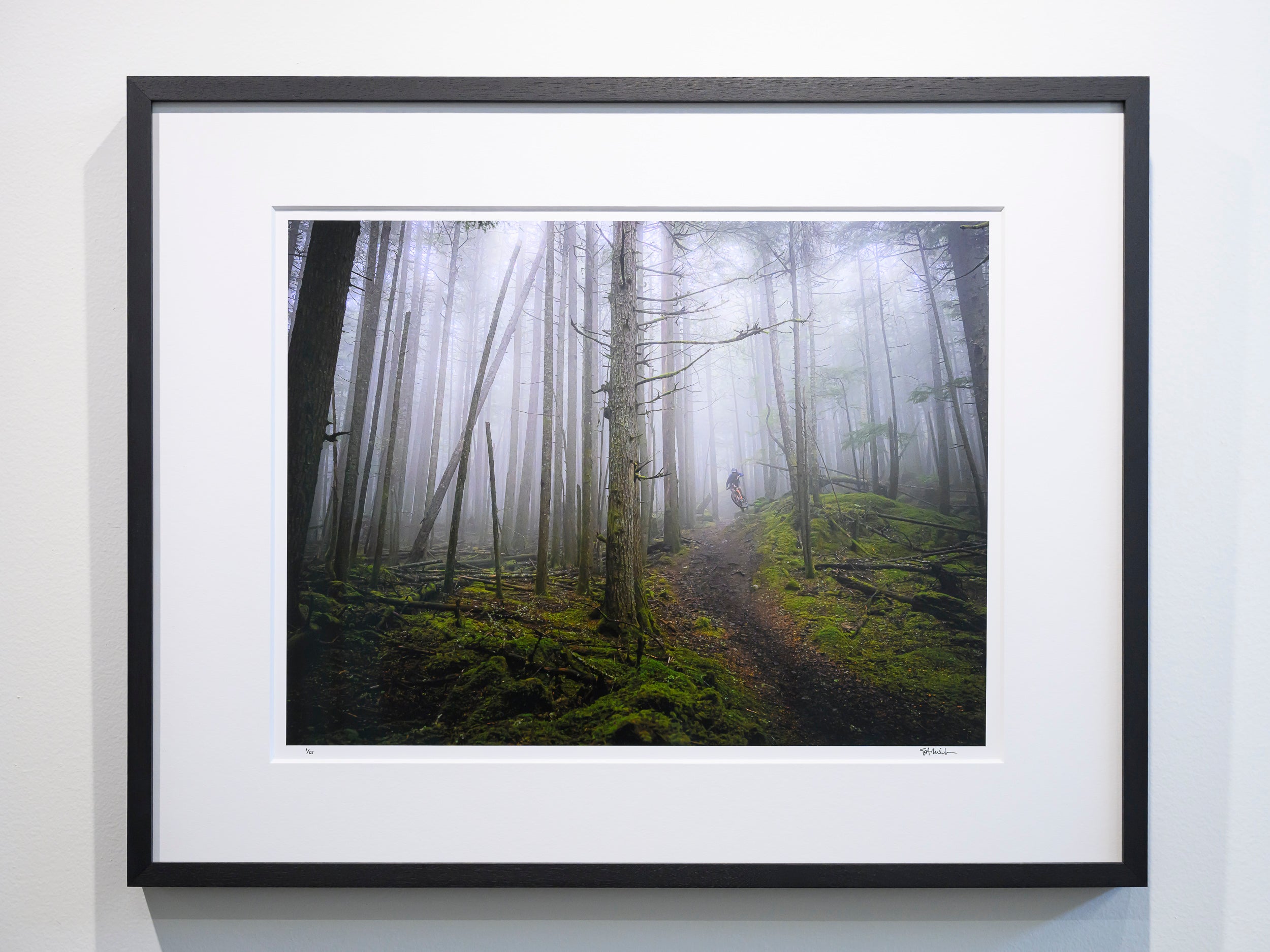 #Framing Option_Gallery Framing