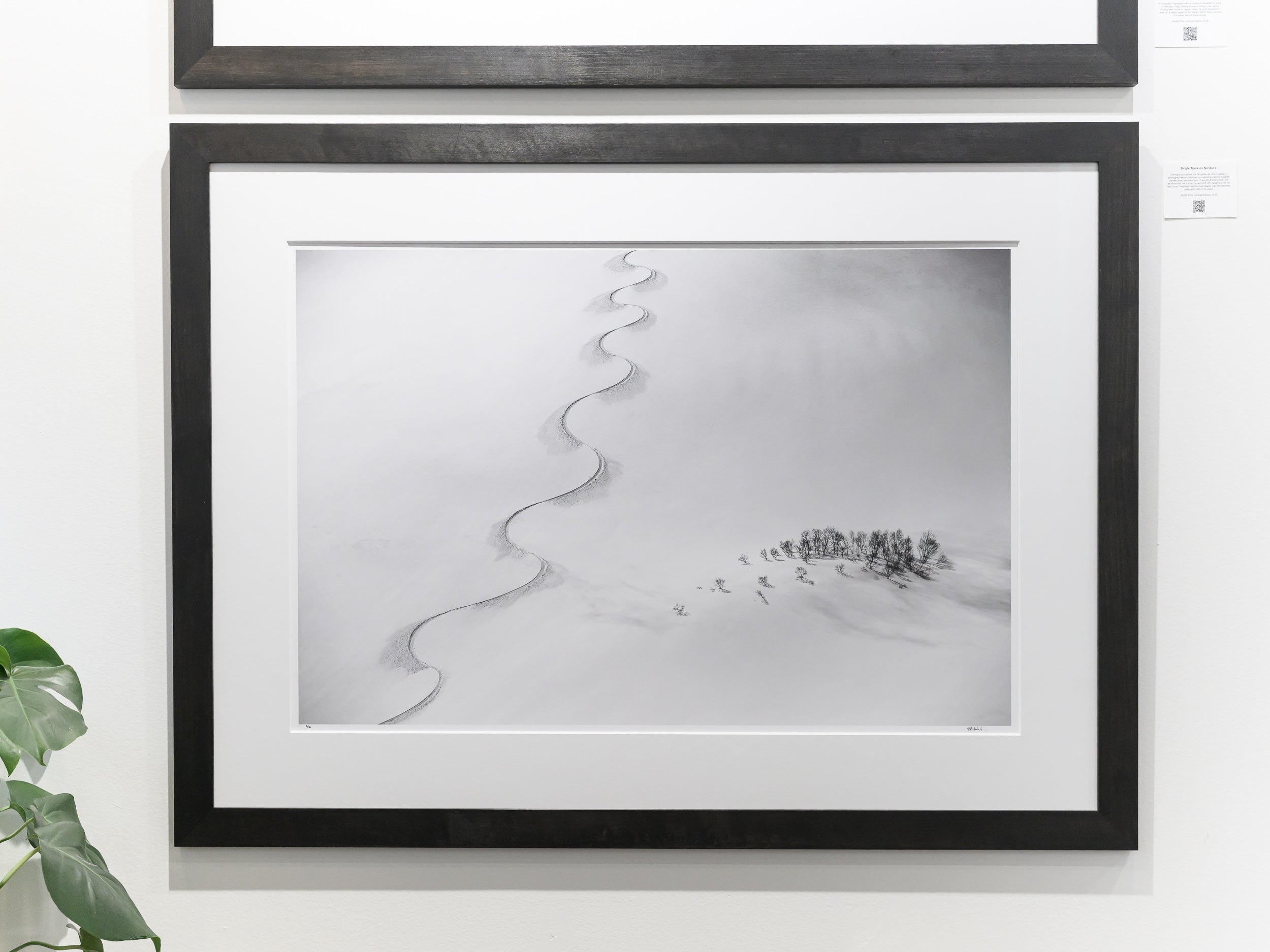 Single Track on Norikura: 24x36 Limited Edition Framed Print