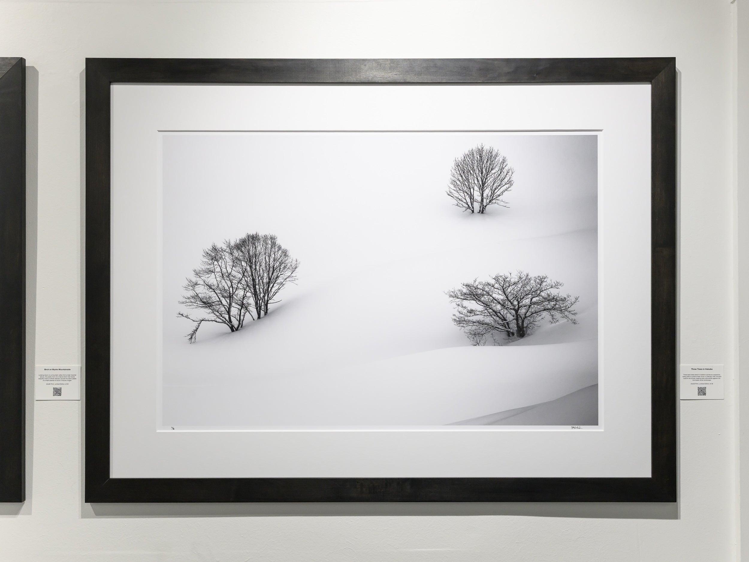 Three Trees in Hakuba: 24x36 Limited Edition Framed Print