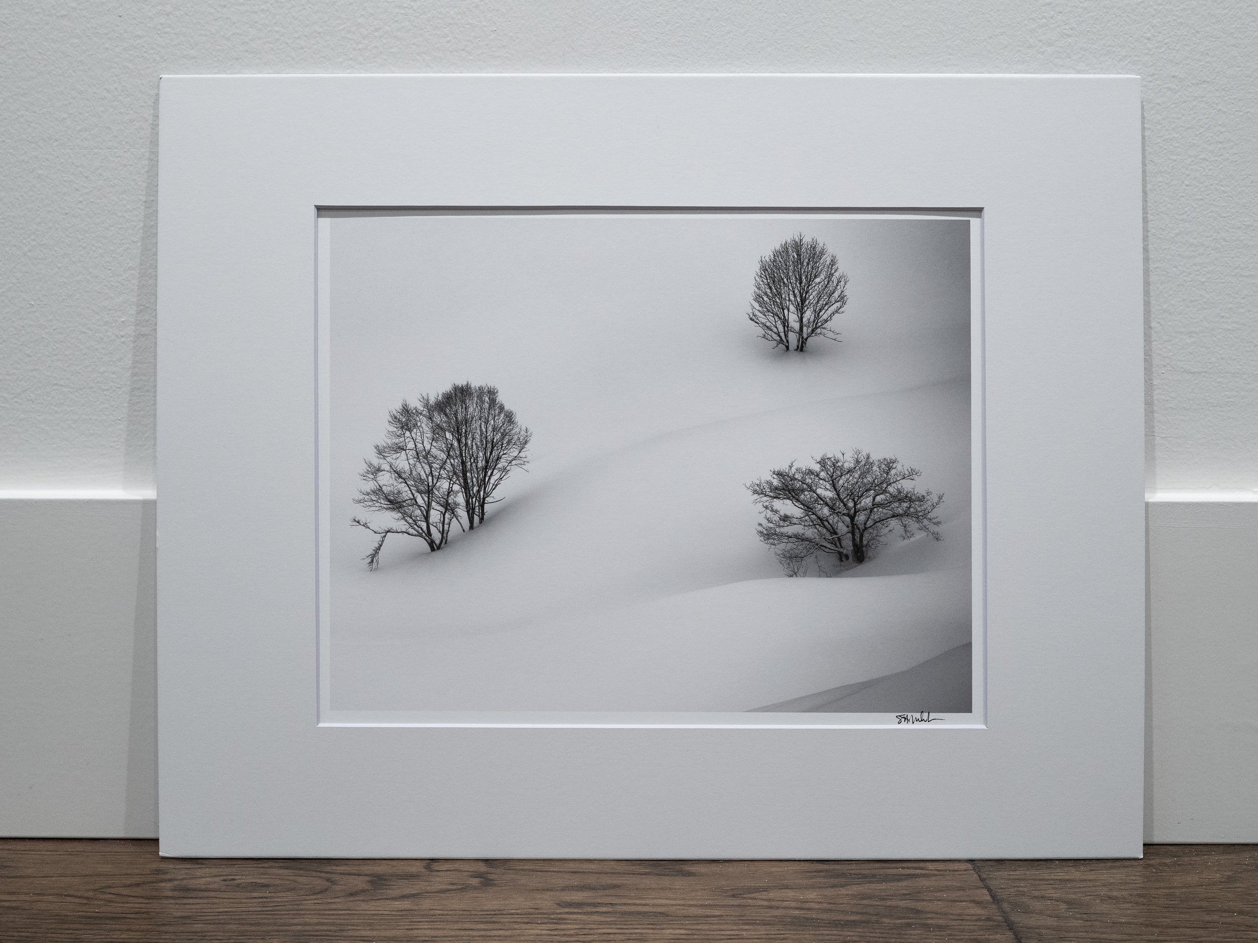 Three Trees in Hakuba: 11x14 Open Edition Matted Print