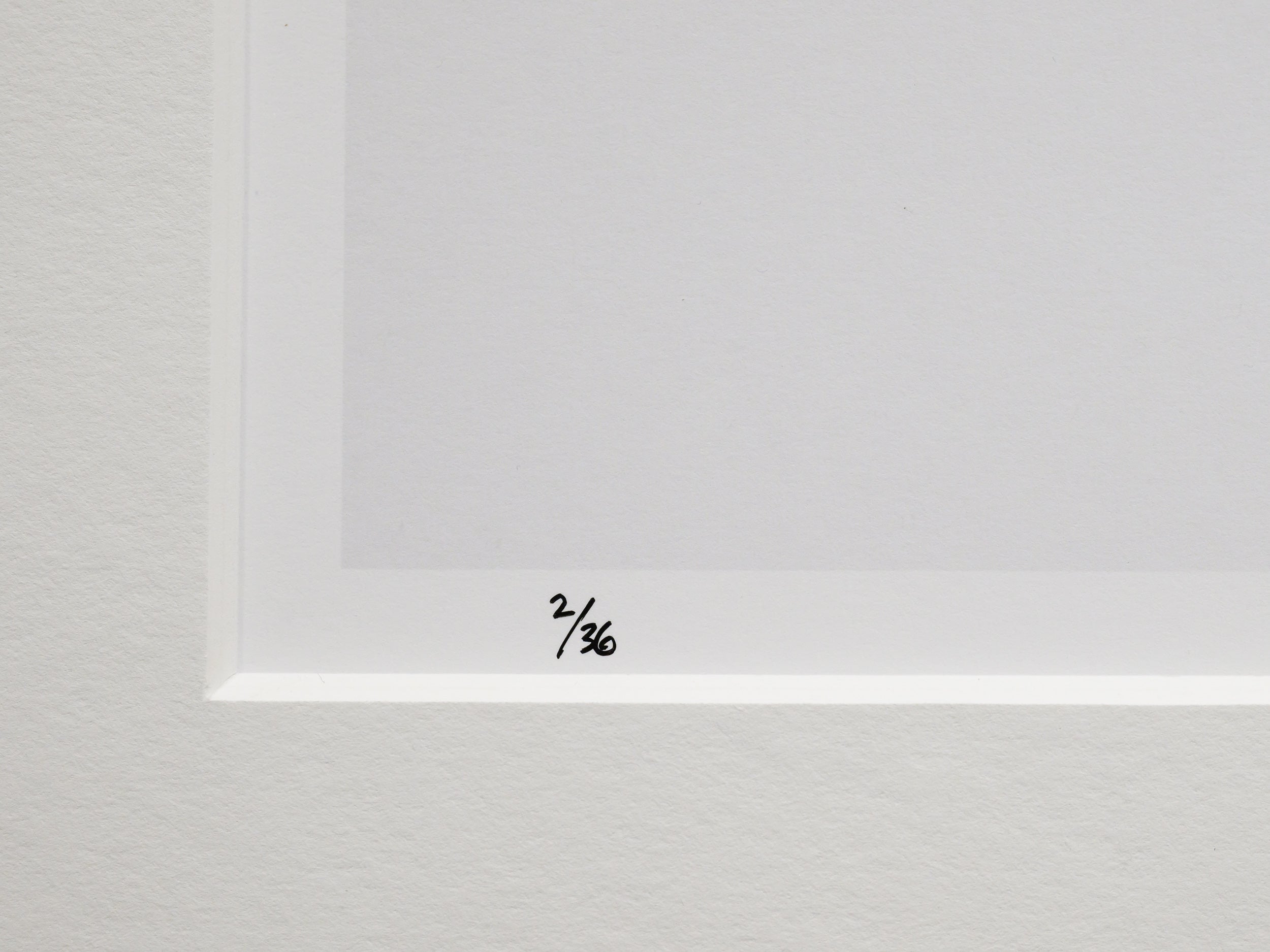 Three Trees in Hakuba: 24x36 Limited Edition Print