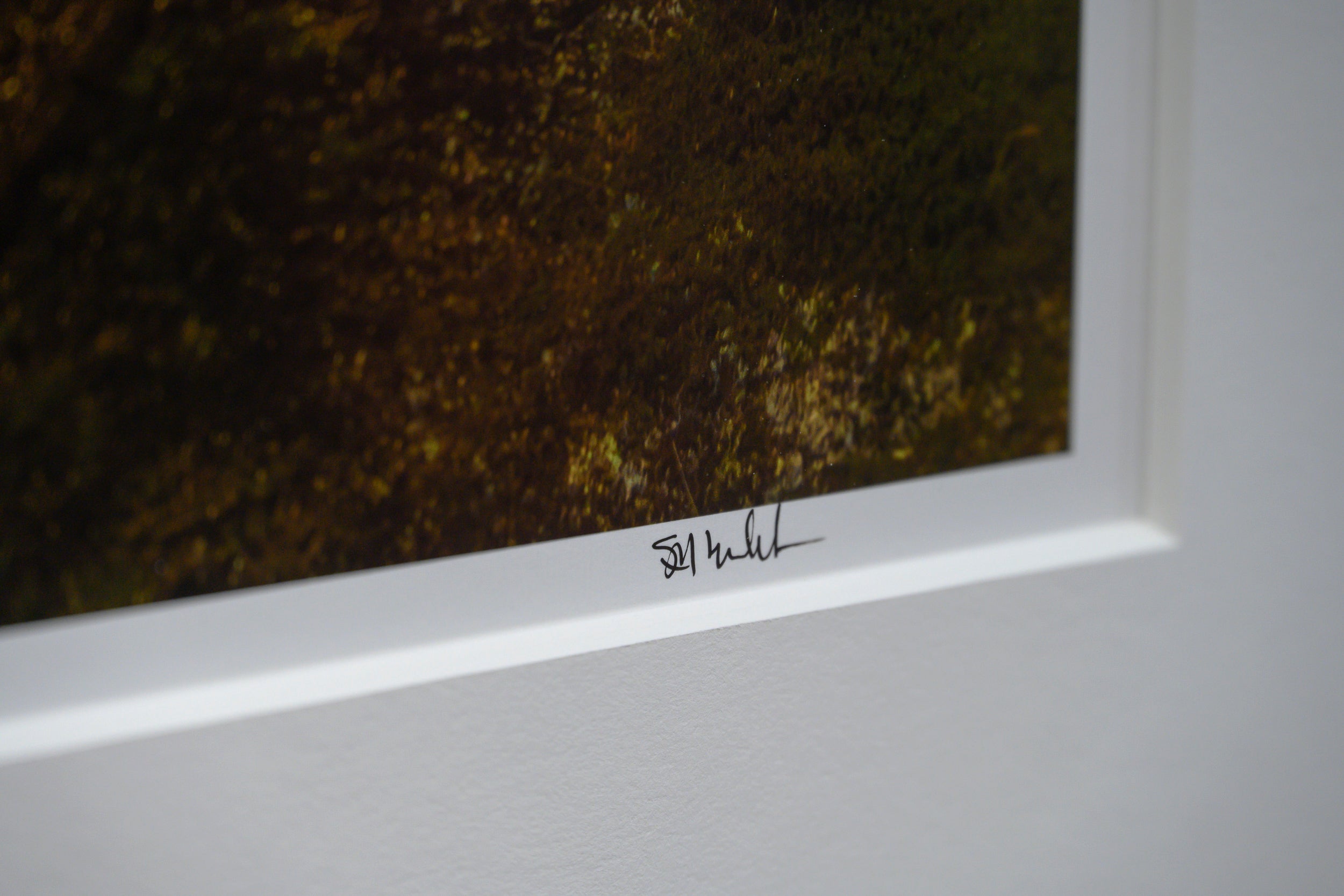 Golden Sunbeams over Skjelforden: 24x48 Limited Edition Framed Print