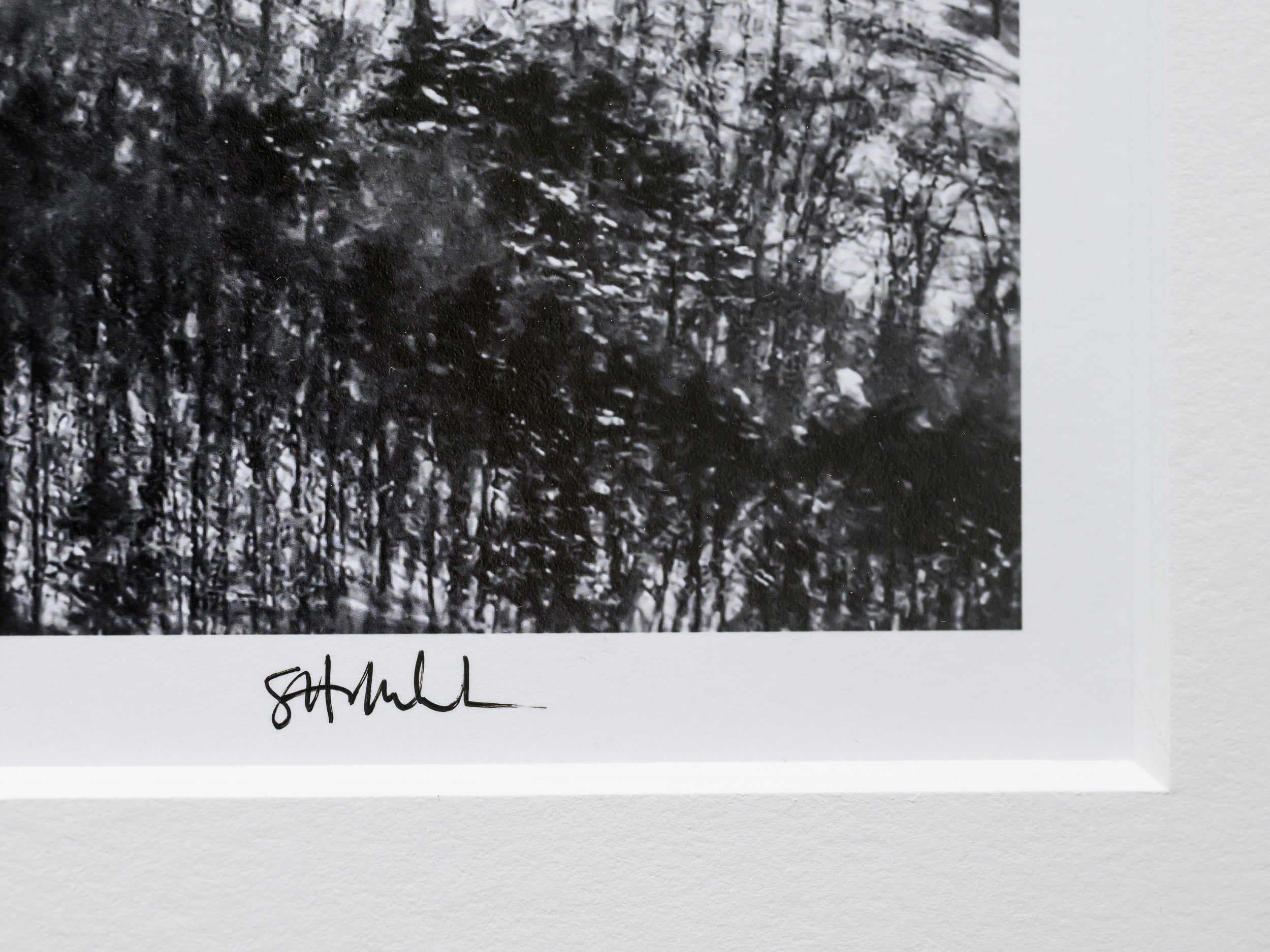 Japanese Hills Horizontal: 32x48 Limited Edition Print