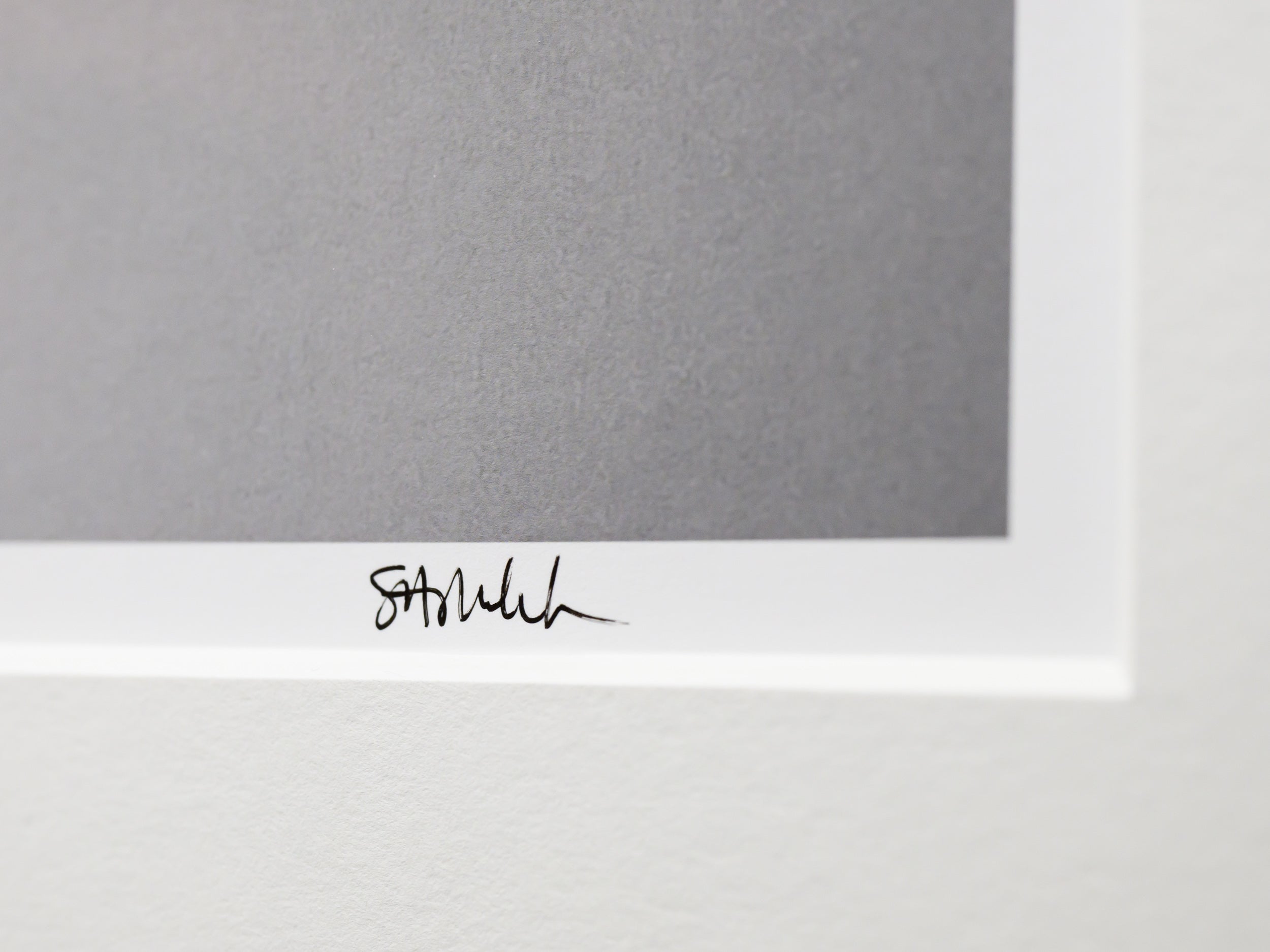 Three Trees in Hakuba: 24x36 Limited Edition Framed Print