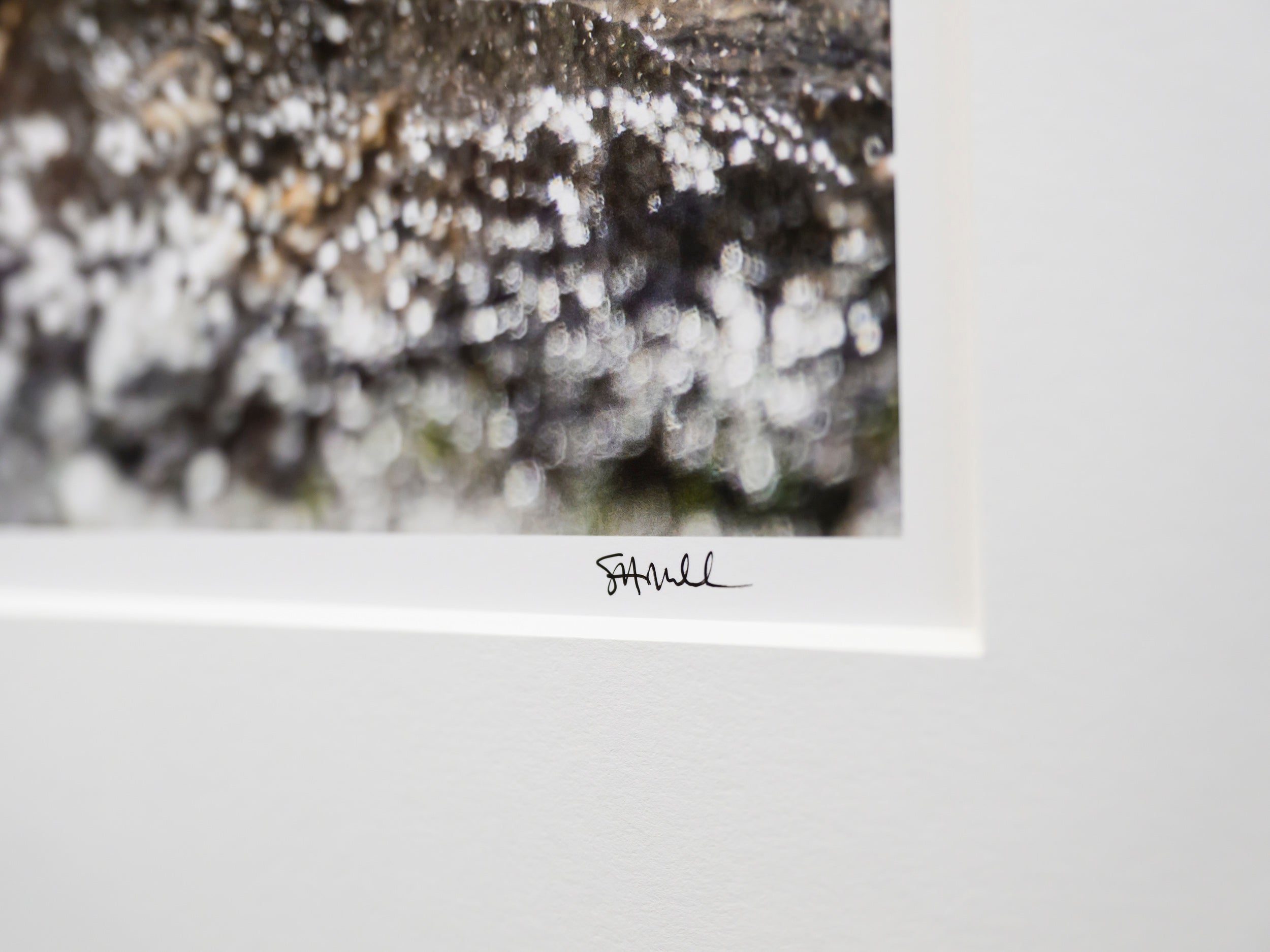 Frozen Splash: 15x20 Limited Print