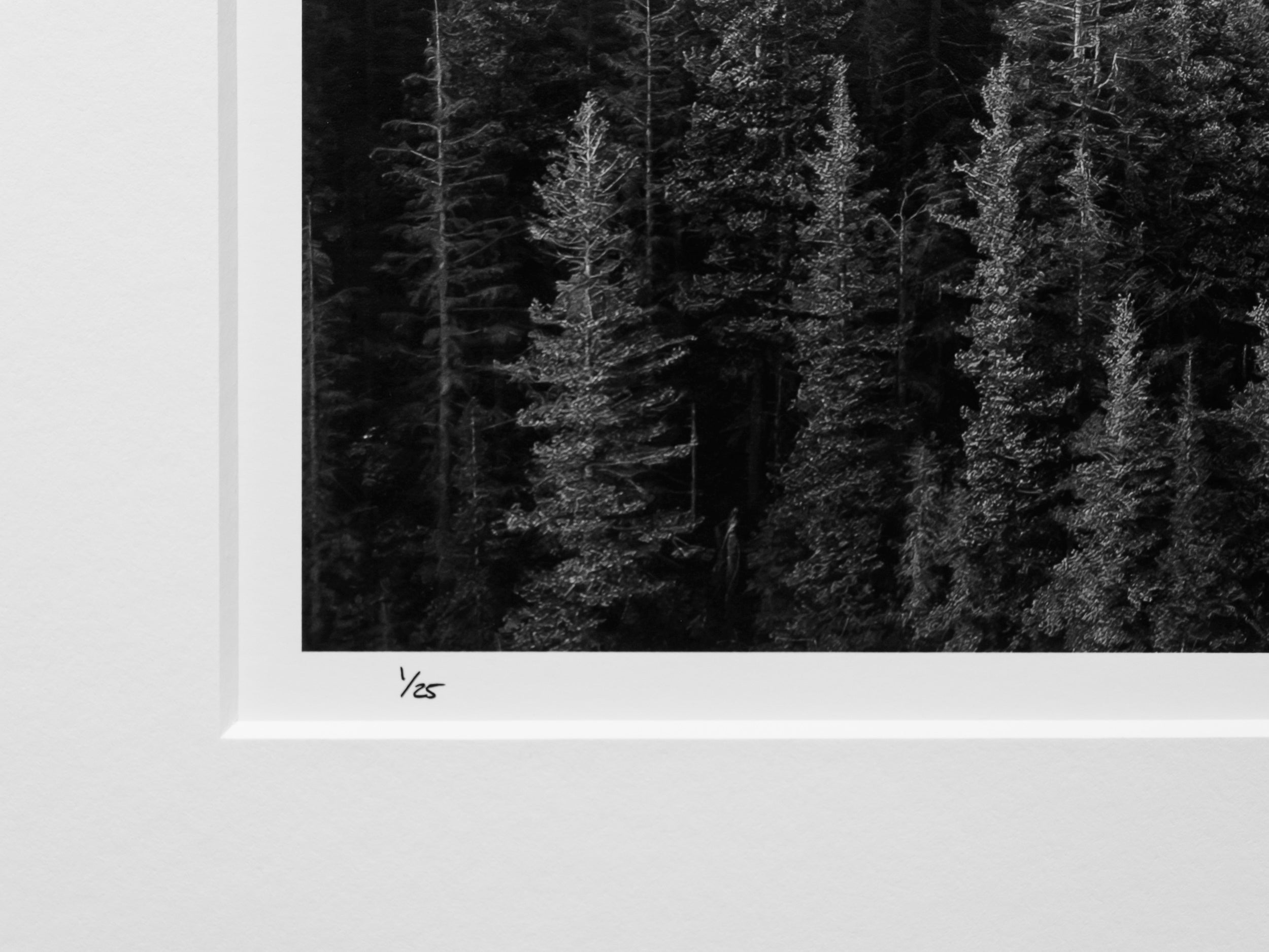 Hikers on Rattlesnake Ledge above North Bend: Limited Edition Framed Print