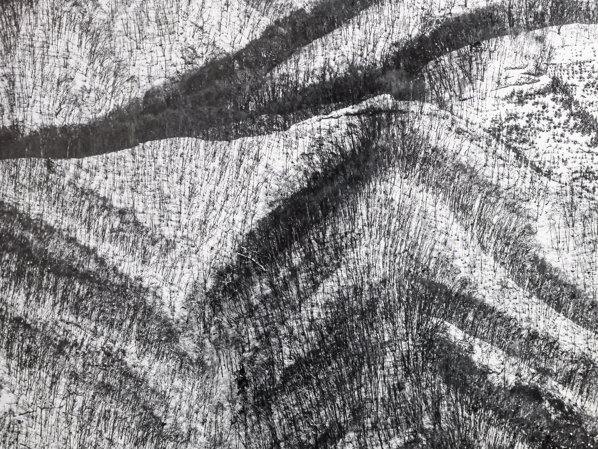 Japanese Hills Horizontal: 32x48 Limited Edition Print