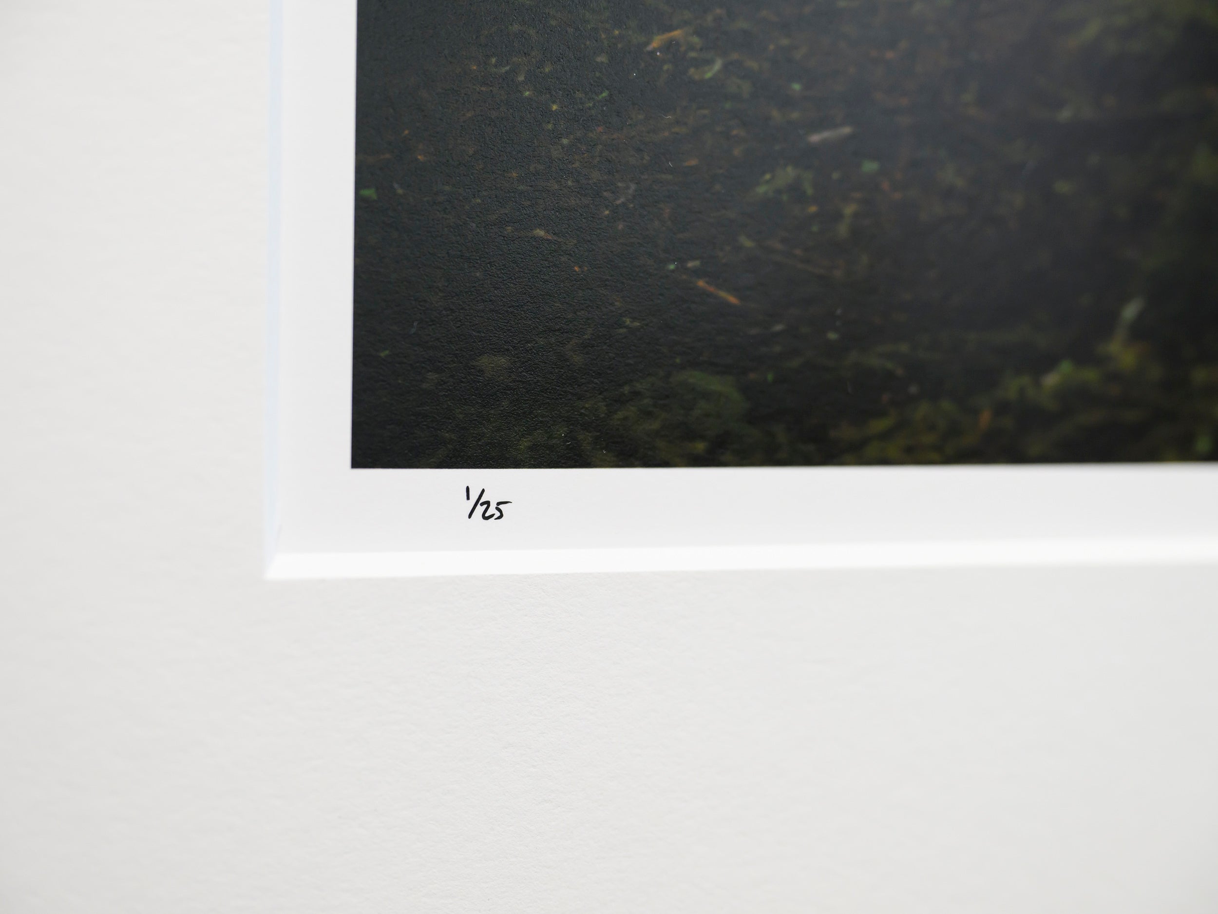 Misty Mount Constitution Side Hits: 15x20 Limited Print