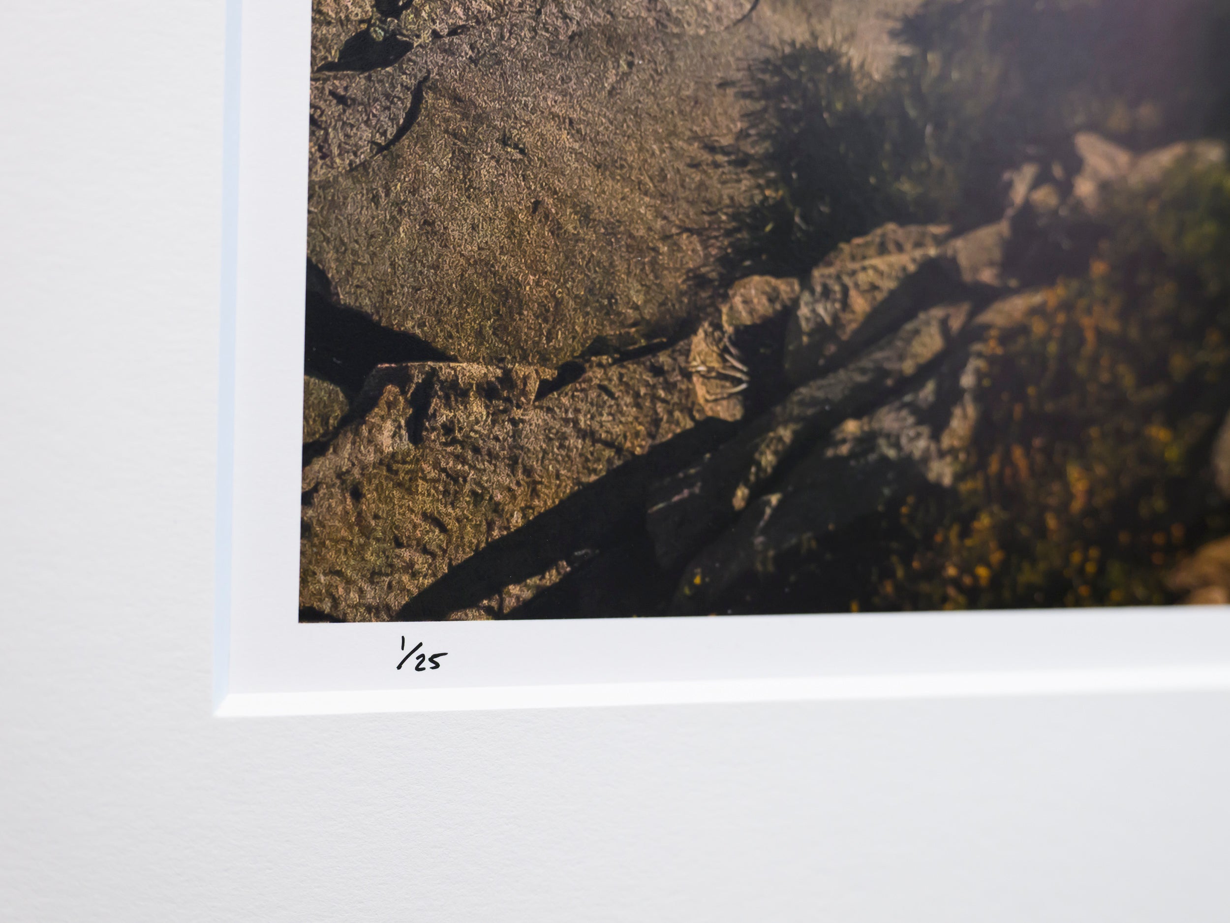 Moon and the Milky Way over Mount Daniel: 15x20 Limited Print