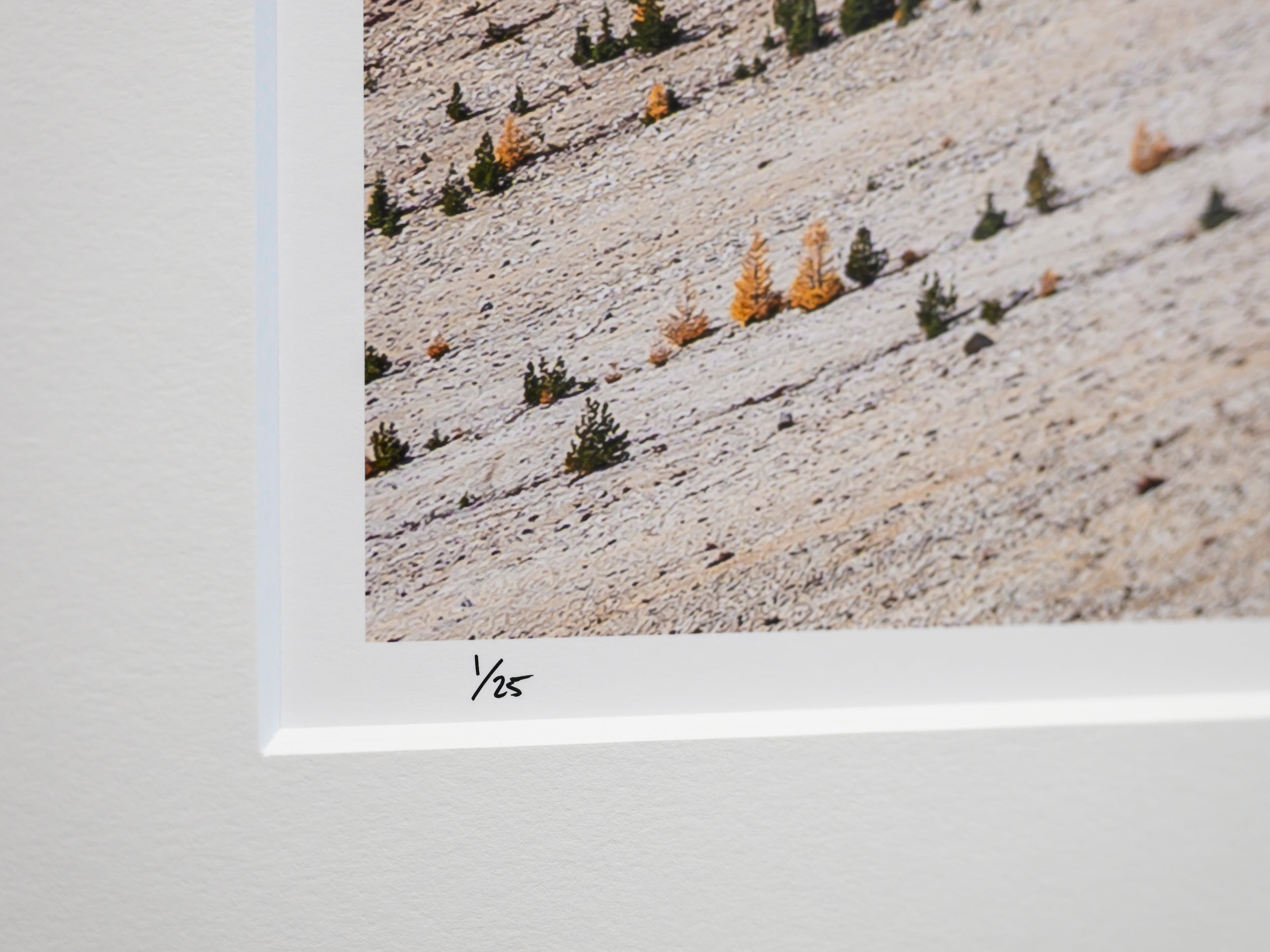 Scree Surfing with Golden Larches and Glacier Peak: 15x20 Limited Print