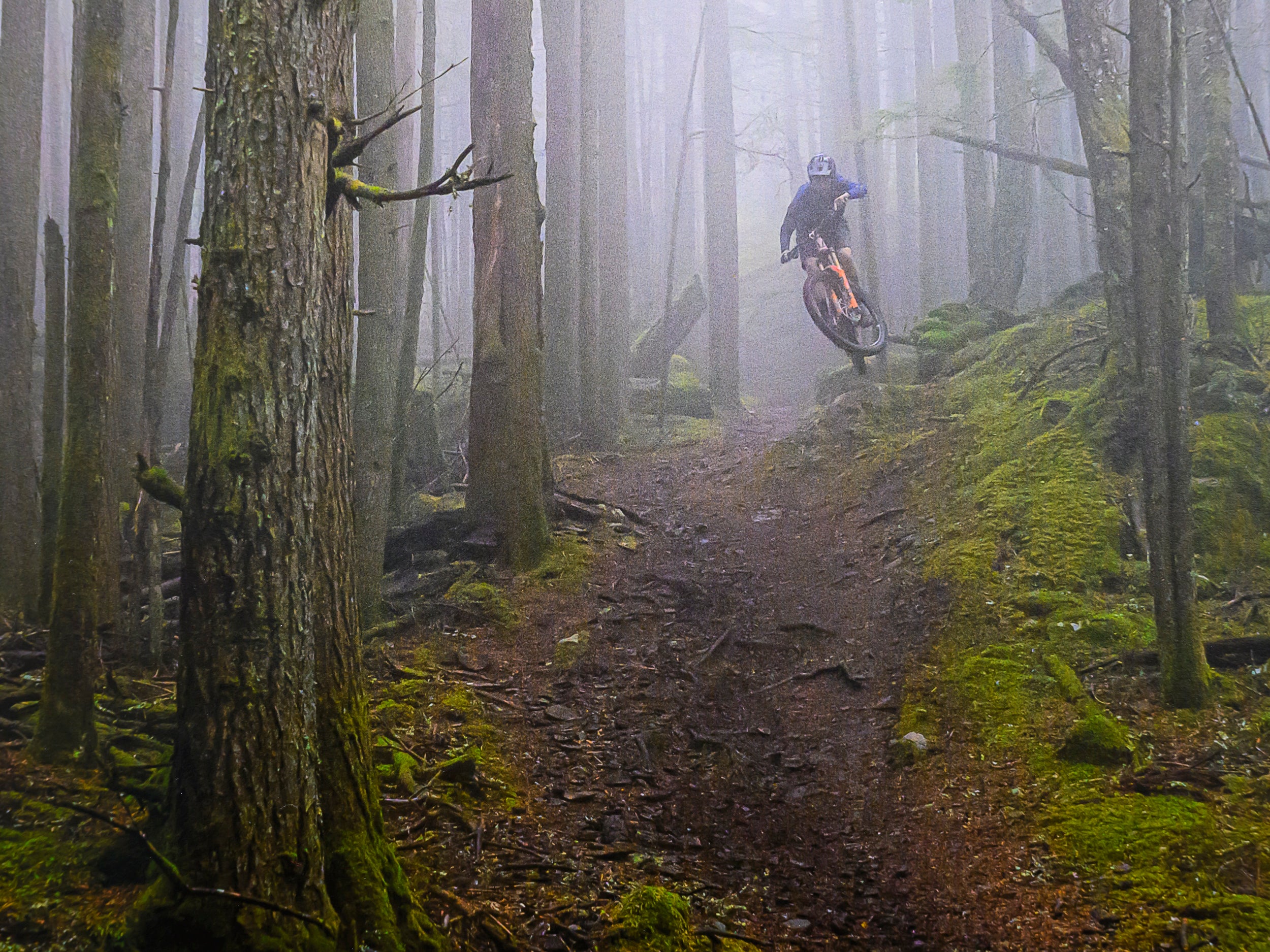 Misty Mount Constitution Side Hits: 15x20 Limited Print