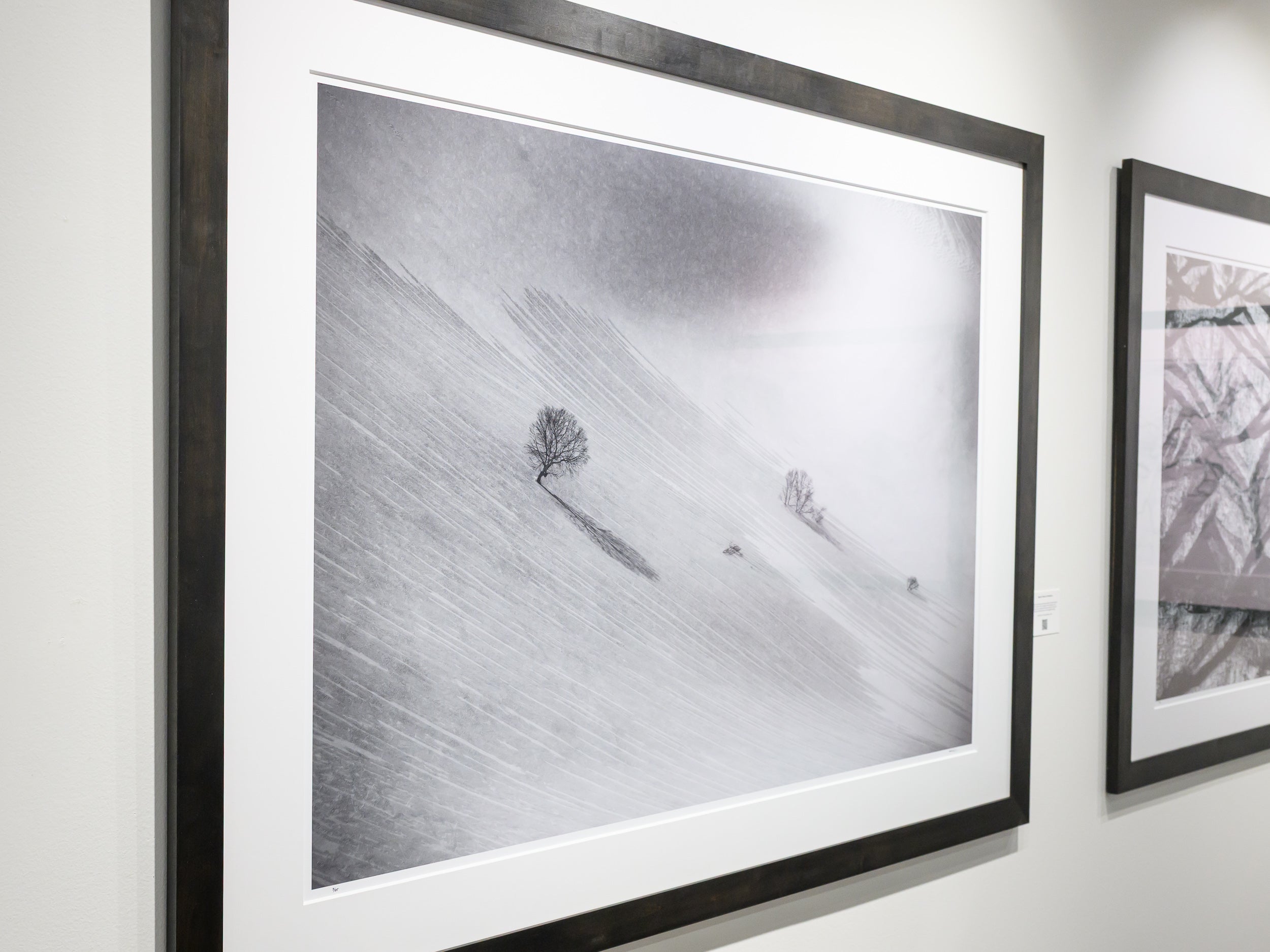 Sparse Trees on Nurikura: 32x48 Limited Edition Framed Print