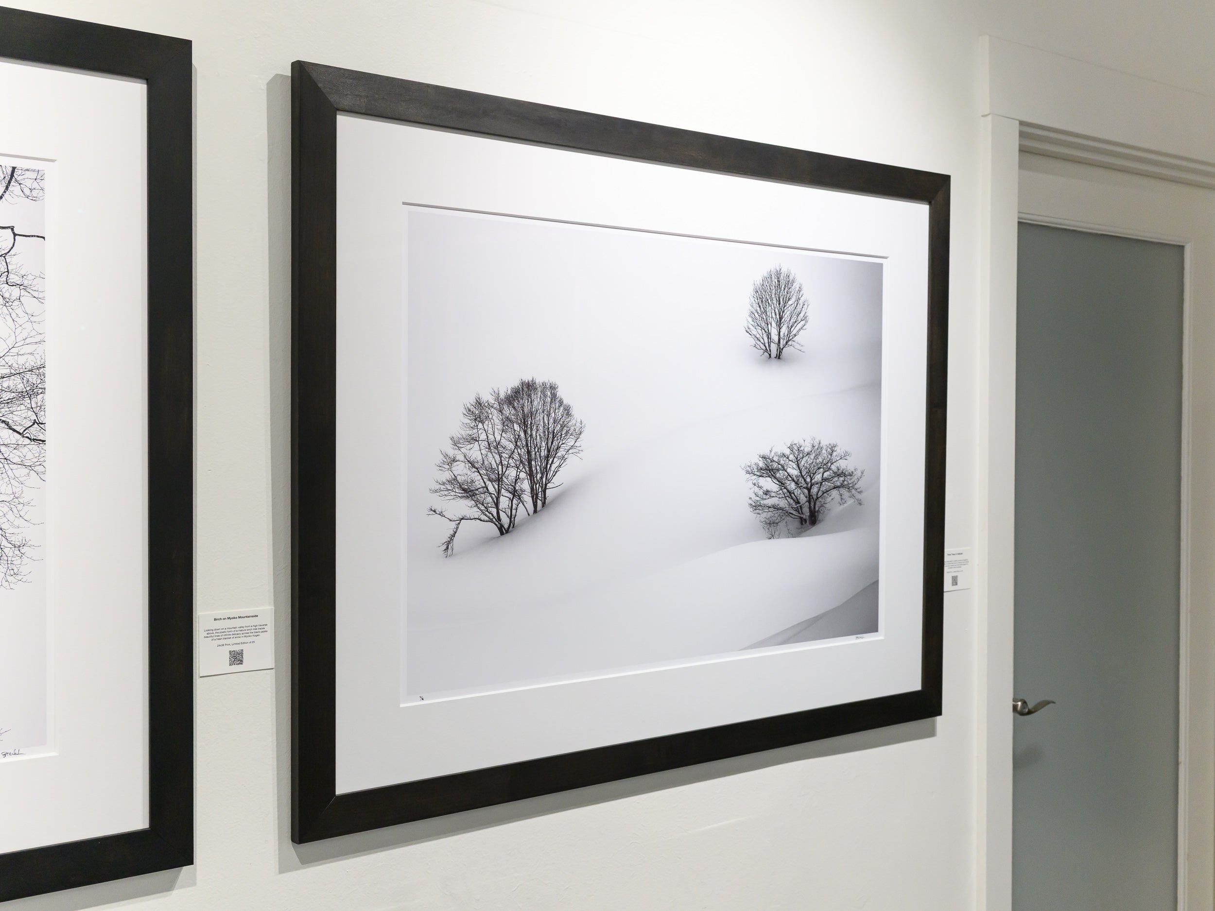 Three Trees in Hakuba: 24x36 Limited Edition Framed Print