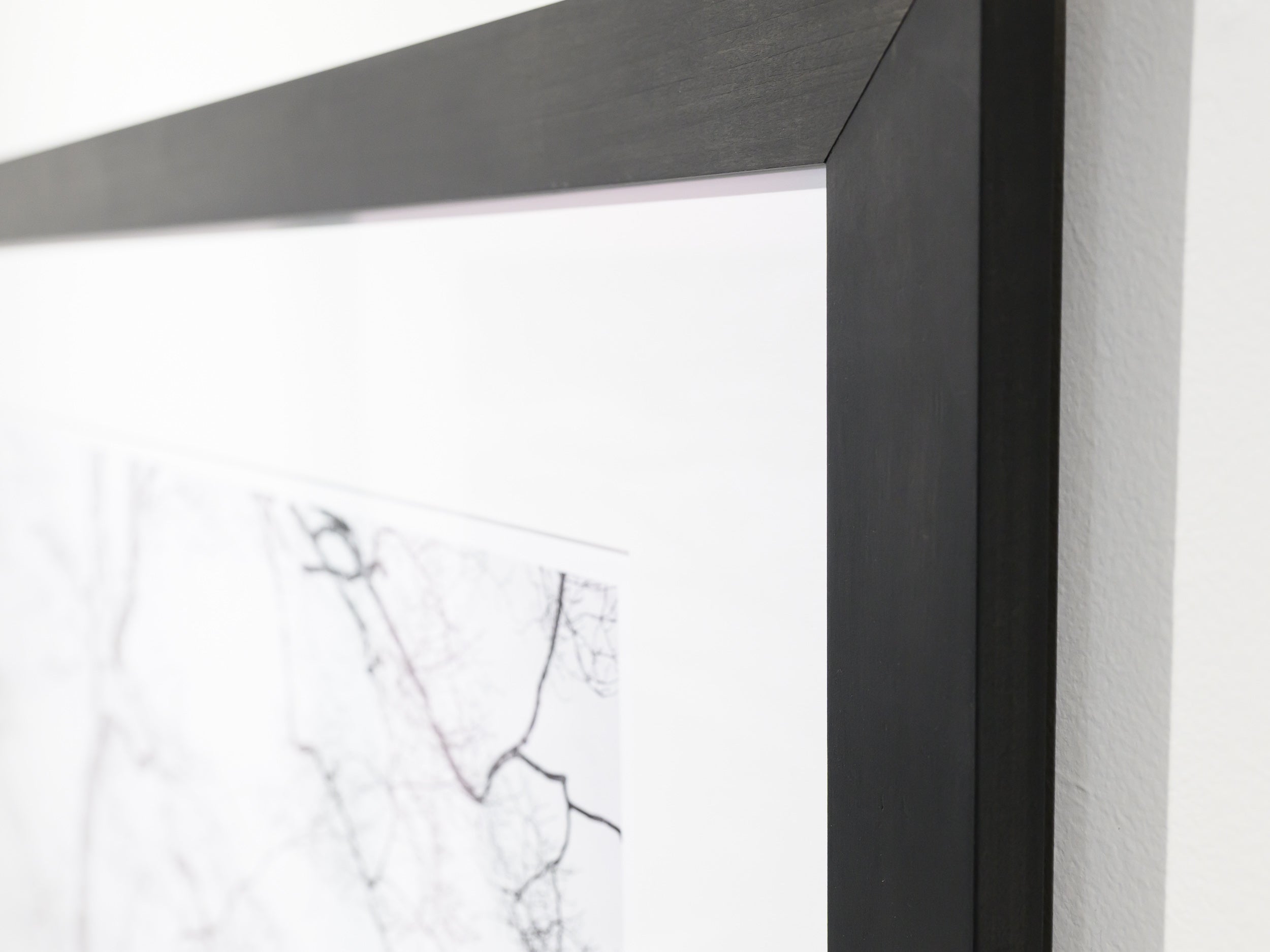 Birch on Myoko Mountainside: 24x36 Limited Edition Framed Print