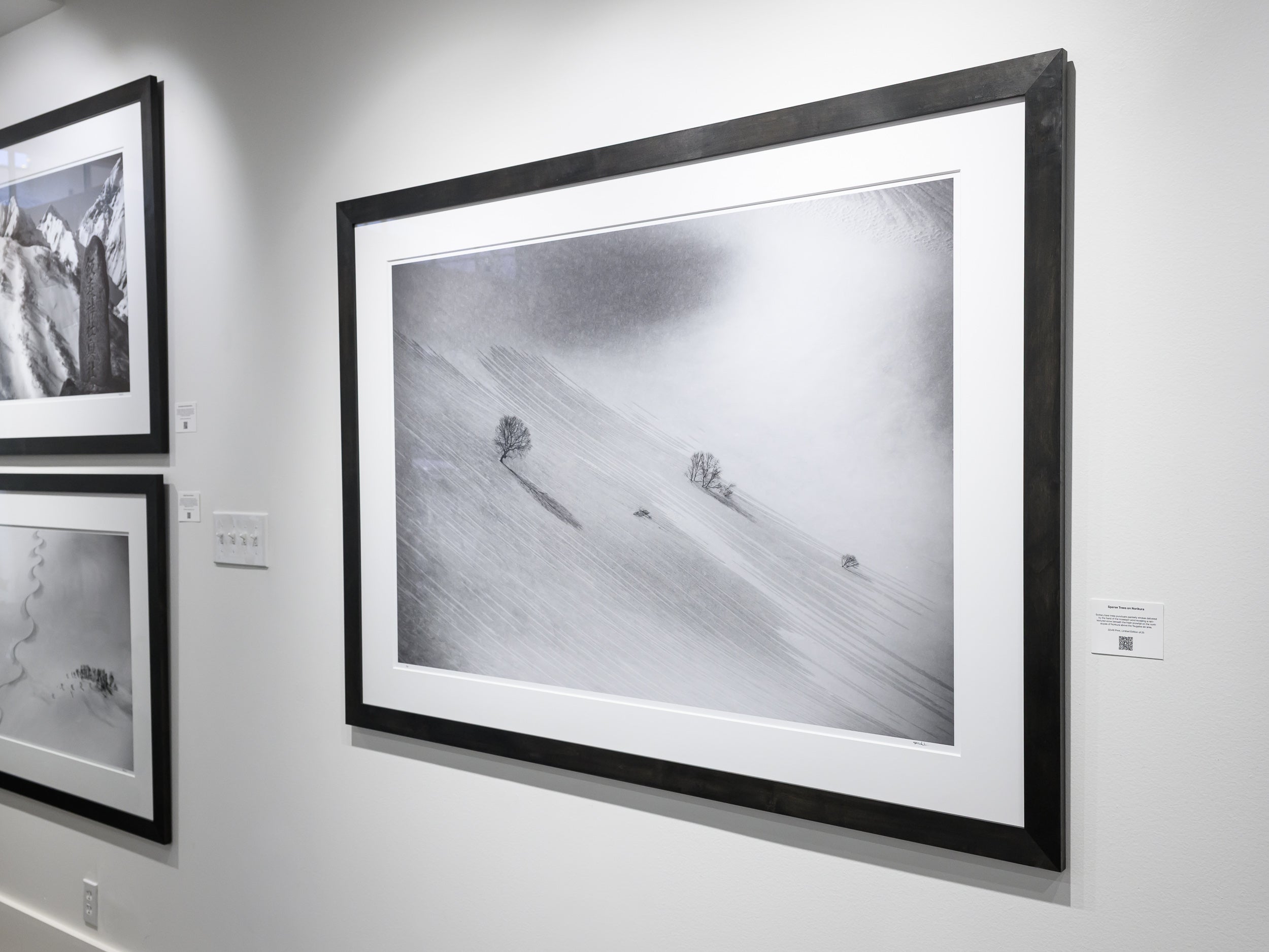 Sparse Trees on Nurikura: 32x48 Limited Edition Framed Print