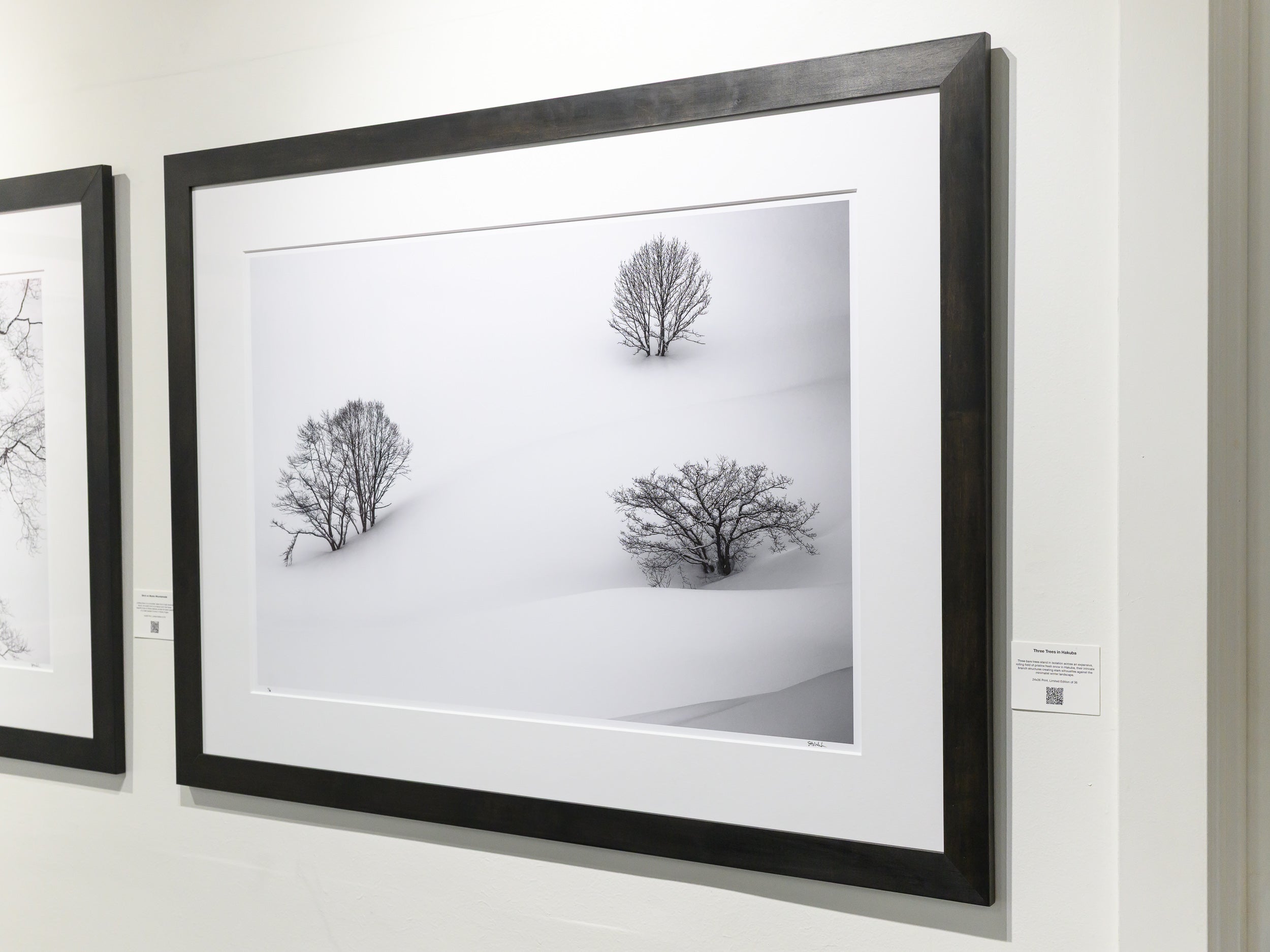 Three Trees in Hakuba: 24x36 Limited Edition Framed Print