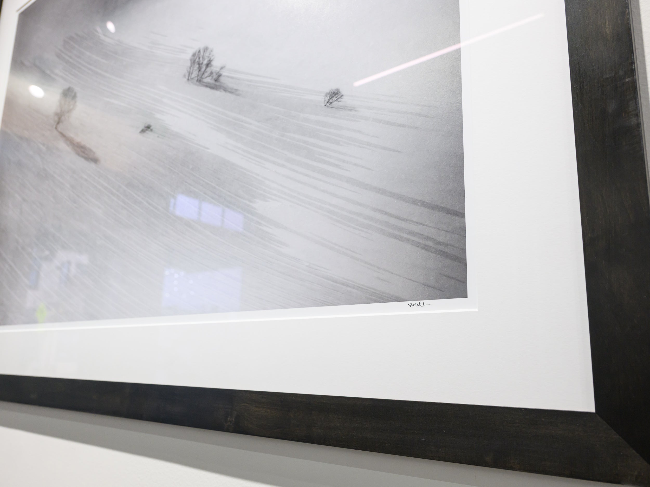 Sparse Trees on Nurikura: 32x48 Limited Edition Framed Print