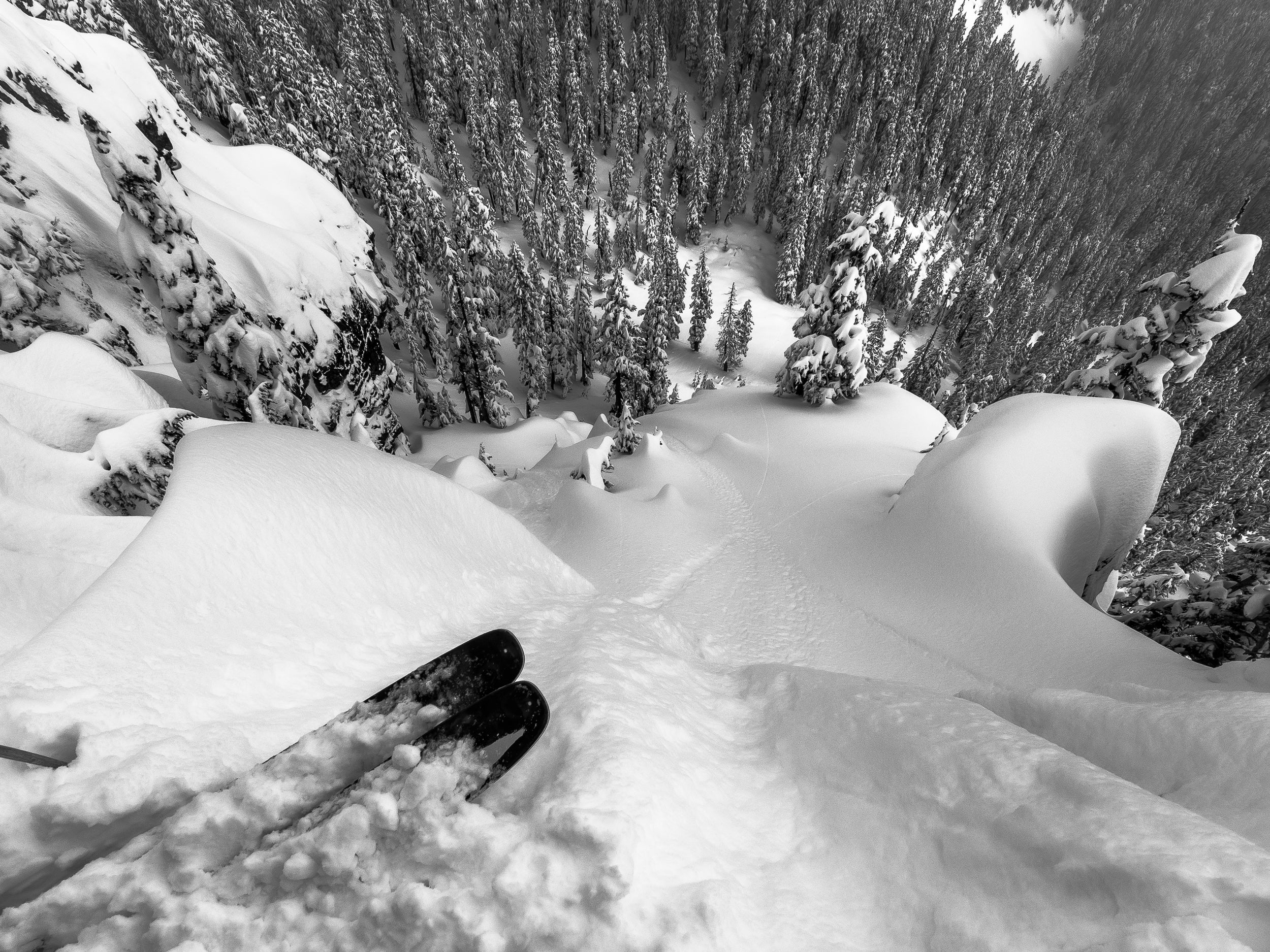 Moment of Truth: Limited Edition Framed Print