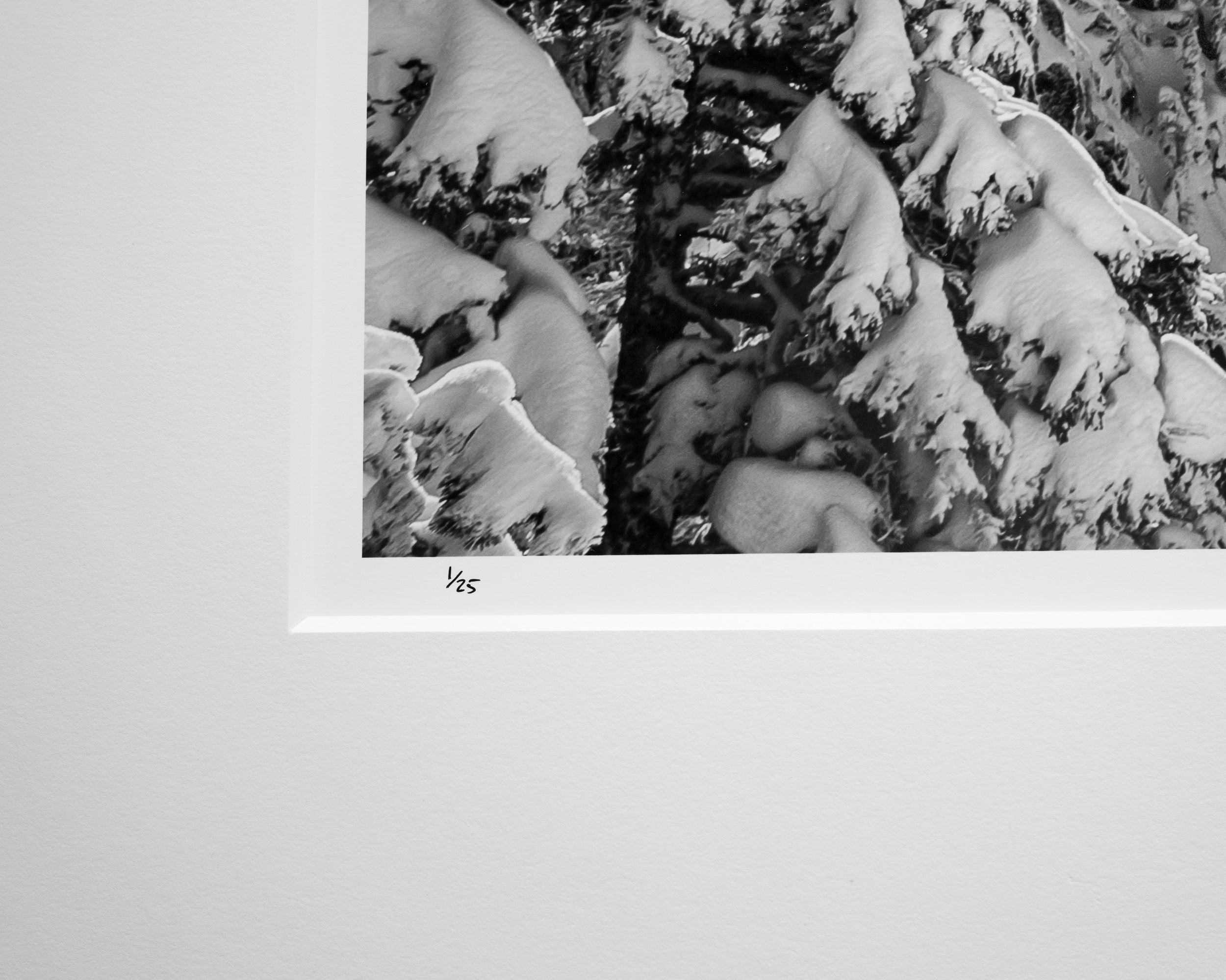 Roosevelt Summit Powder Turn: Limited Edition Framed Print