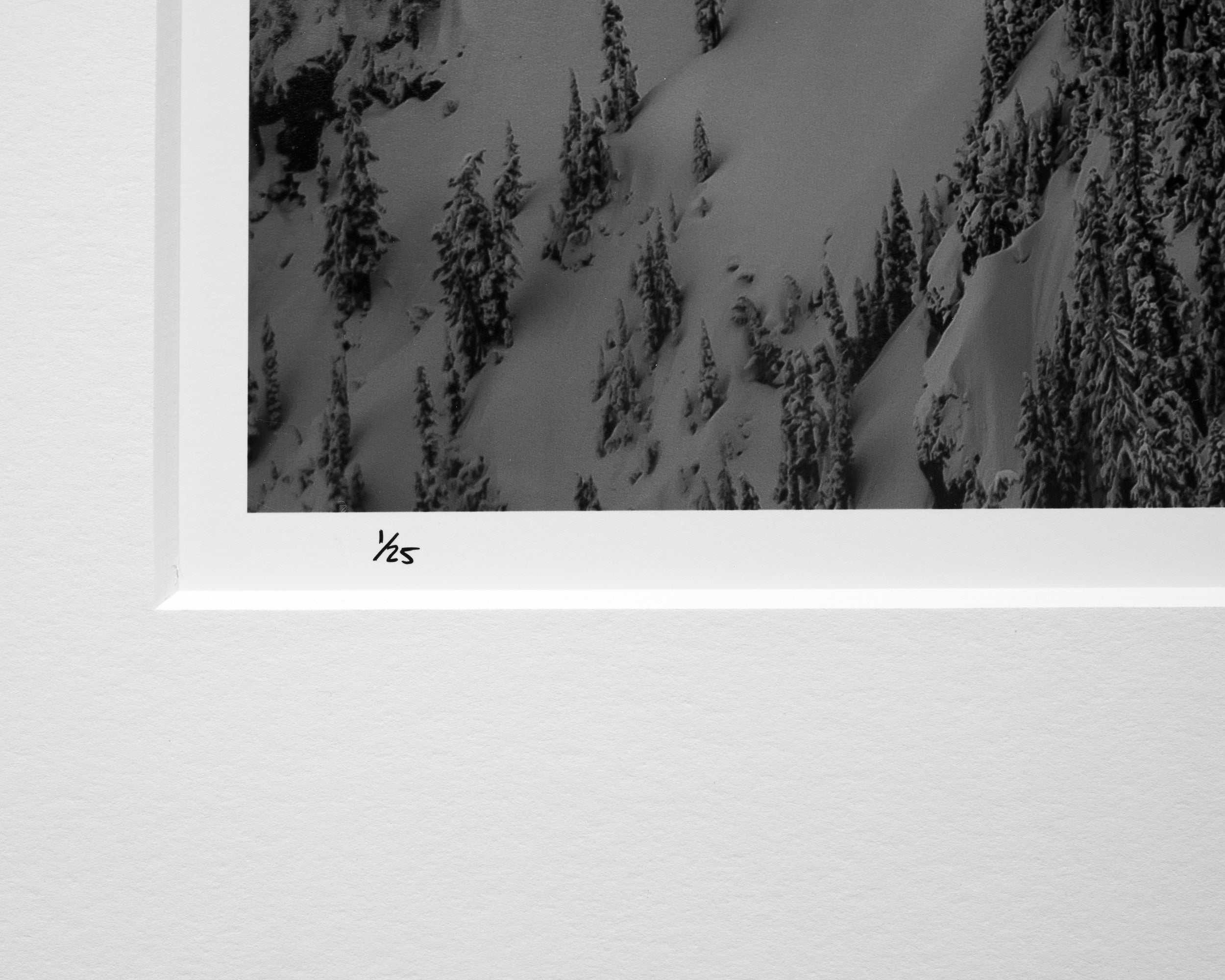 Slashing Spines on Mount Roosevelt: Limited Edition Framed Print