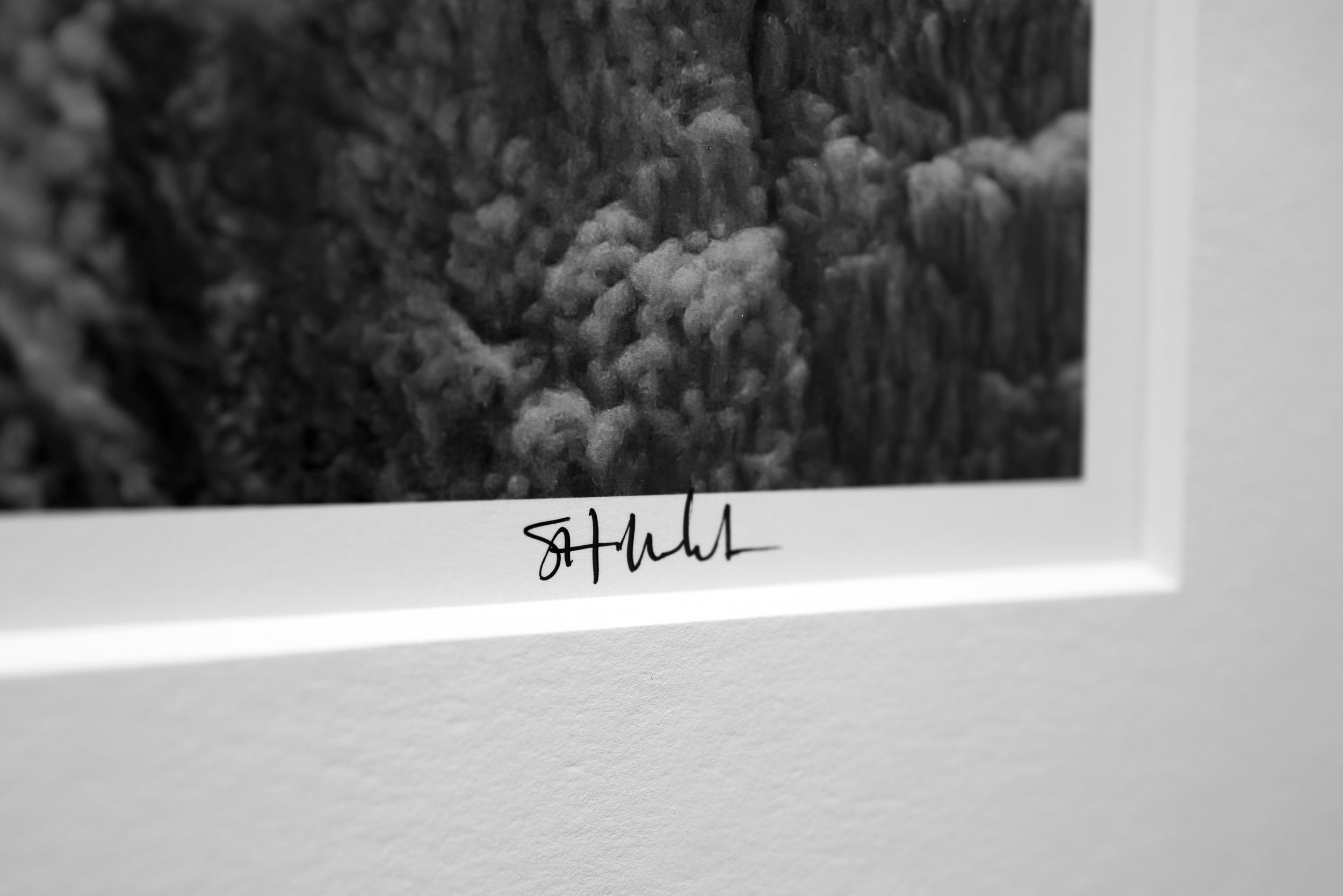 Falling in a World of Ice and Mist: 24x36 Limited Edition Framed Print