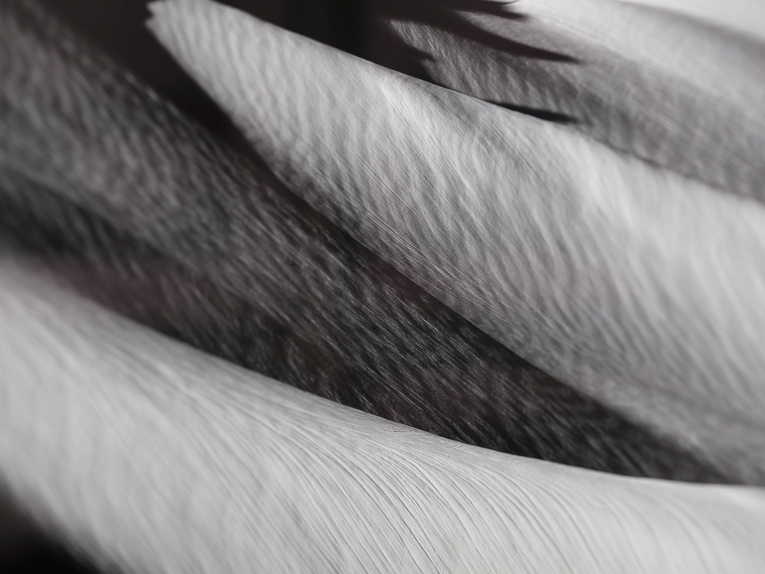 Lines and Light on Sitkum Glacier: Limited Edition Print