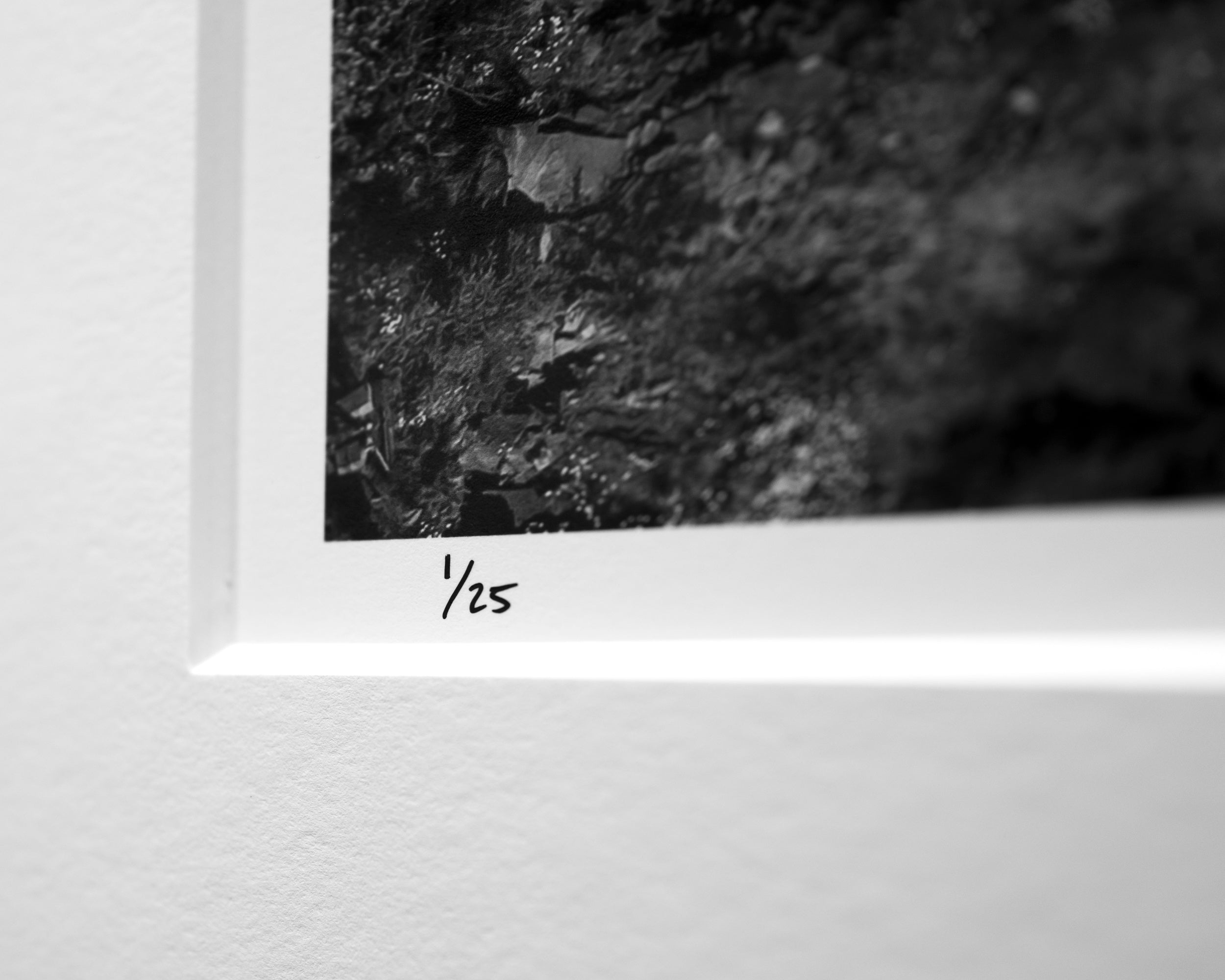 Salish from the Sky: Limited Edition Print