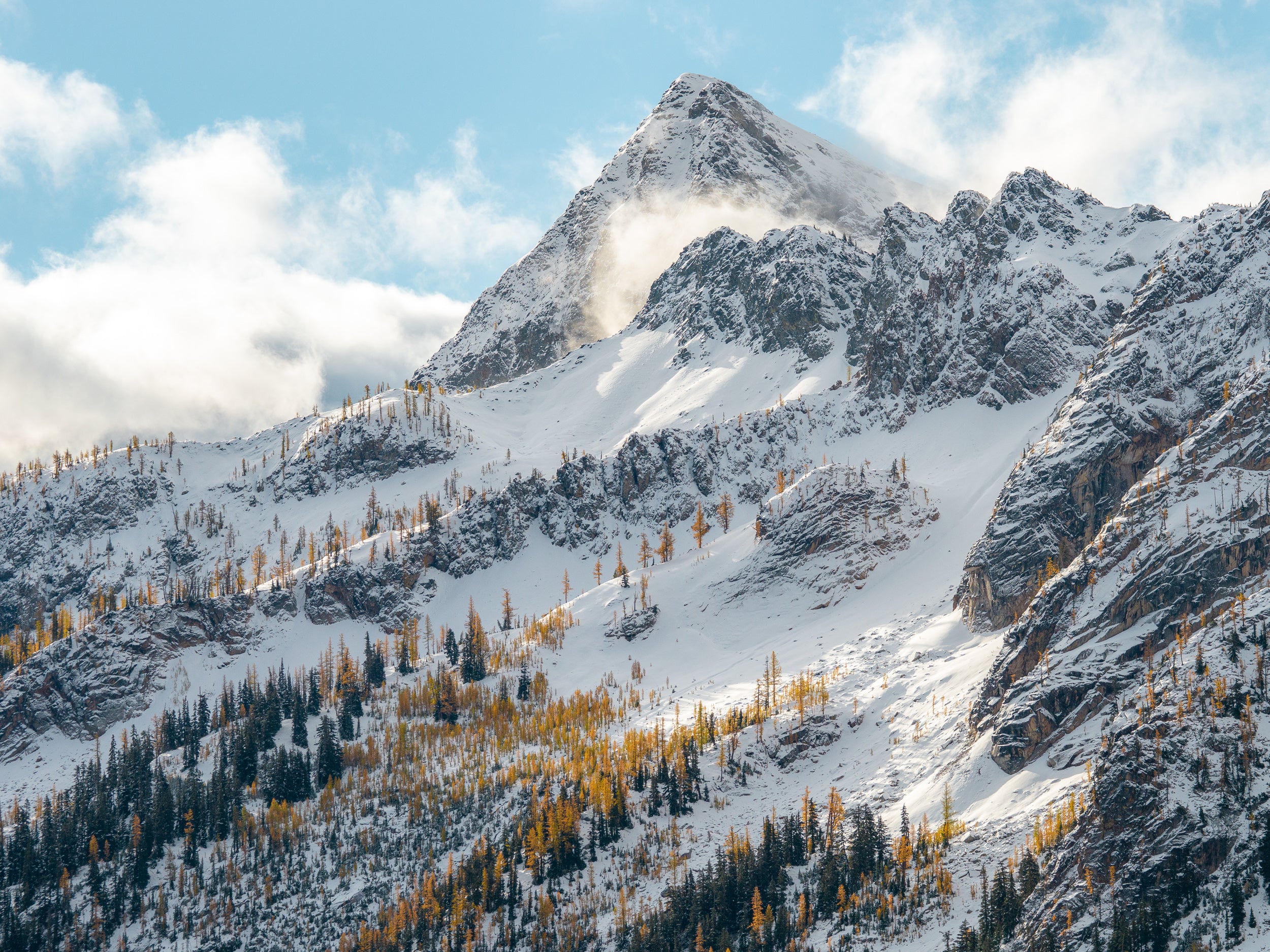 Copper Peak with Larches and Fresh Snow: Matted 8x10 Print