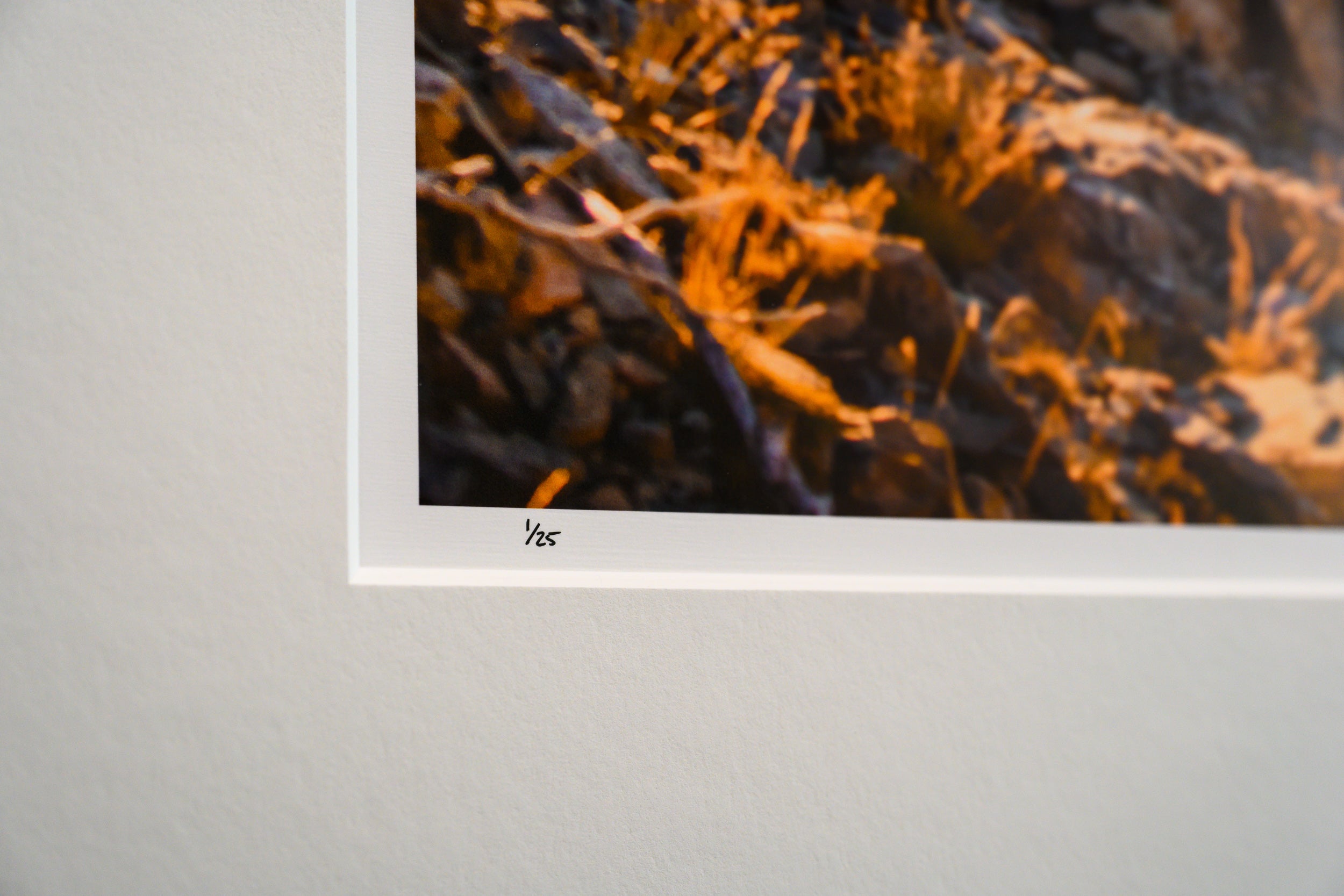 Wing Lake and Larches from Black Peak: 24x36 Limited Edition Print