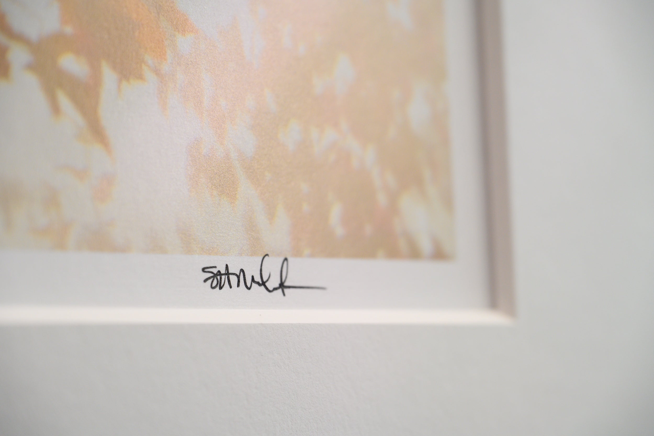 Misty Maple above Snoqualmie Falls: 24x36 Limited Edition Framed Print