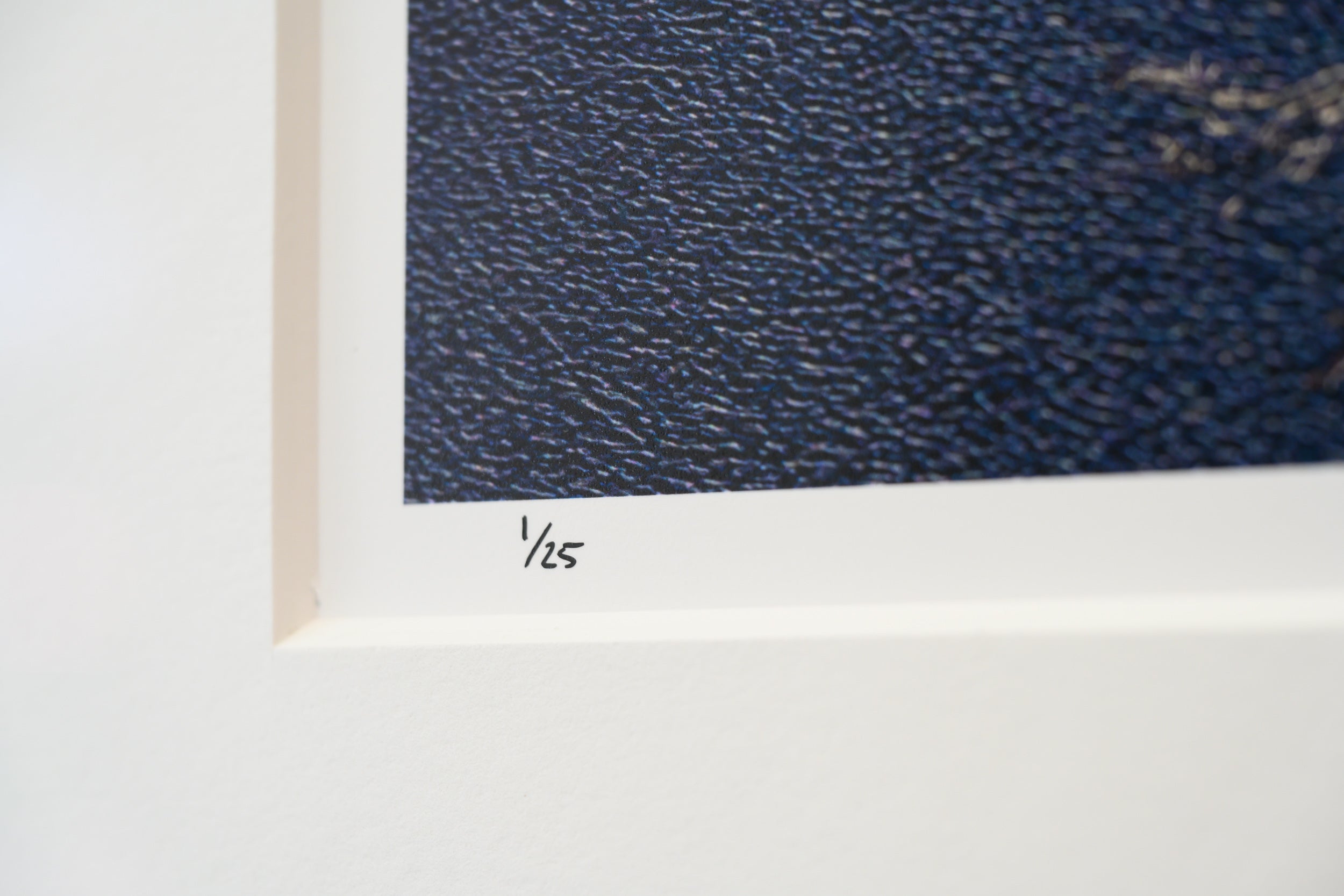 Bare Tree above Sawtooth Lake: Limited Edition Framed Print