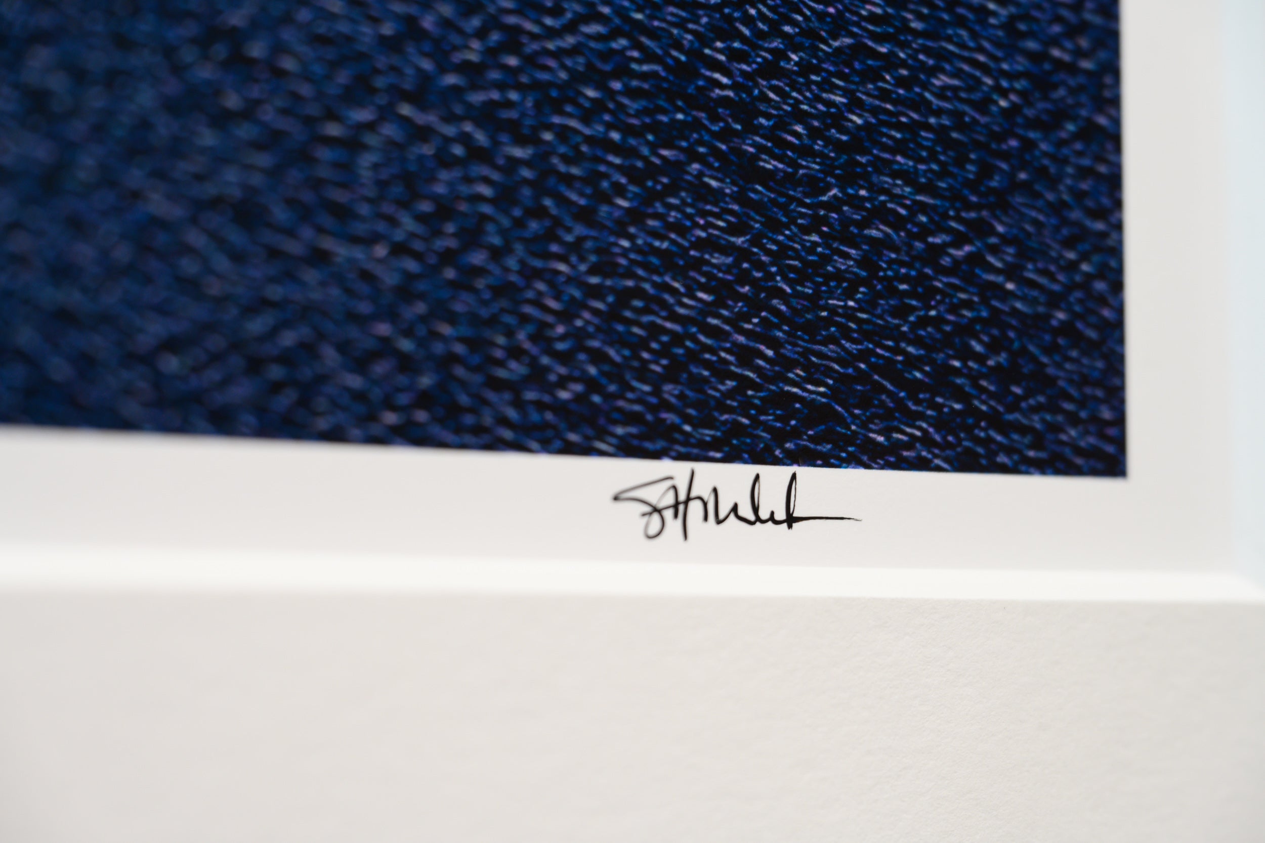 Bare Tree above Sawtooth Lake: Limited Edition Framed Print