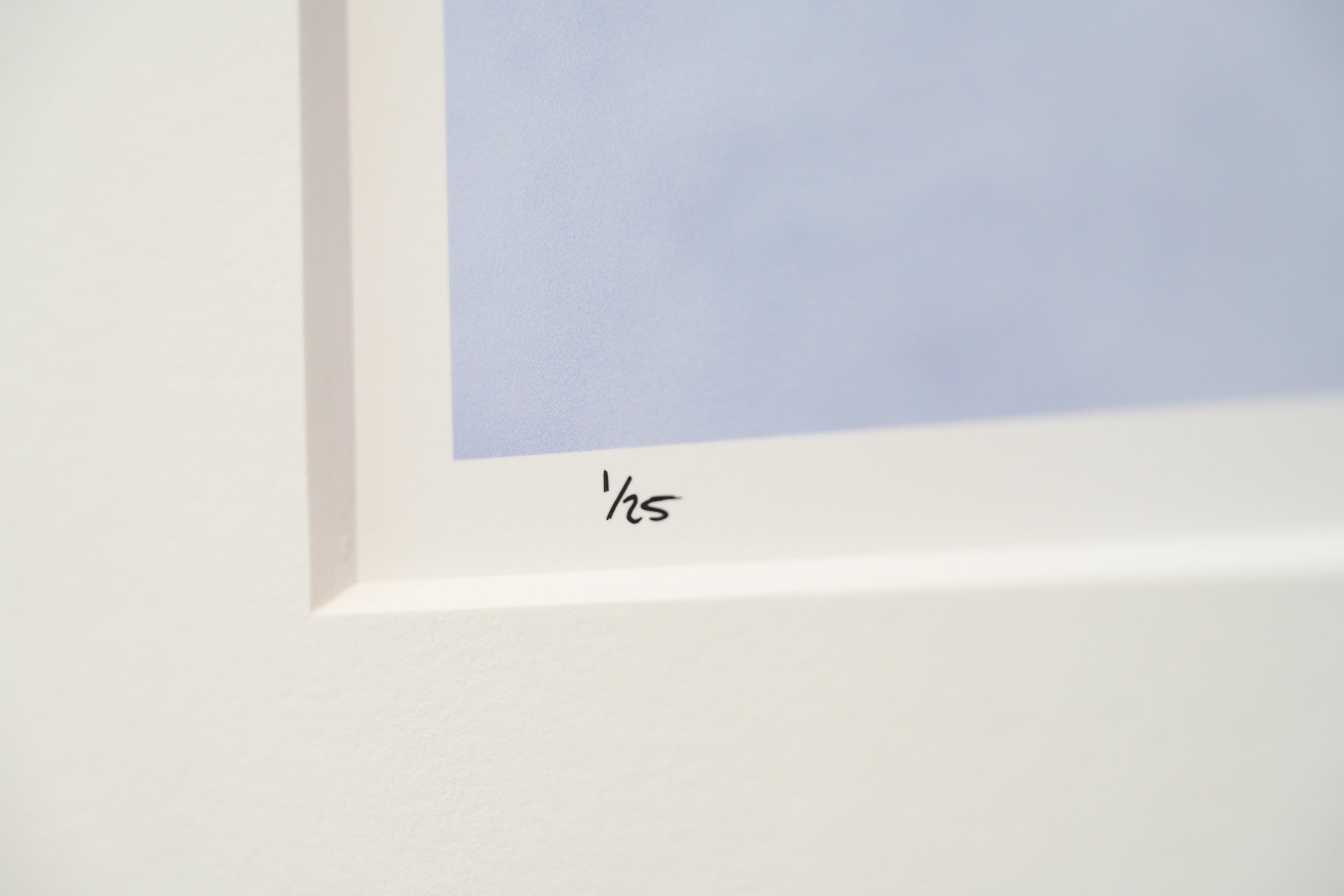 Aspen Leaf in Snow: Limited Edition Framed Print